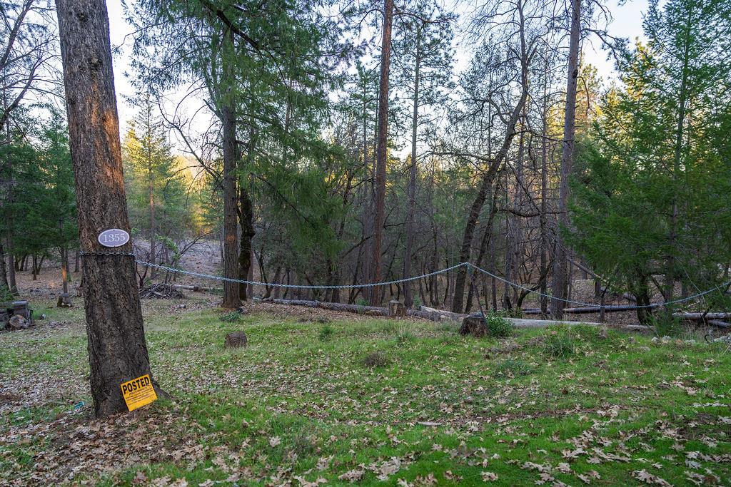 1355 East Weimar Cross Road Colfax, CA 95713 - Photo 3 of 41