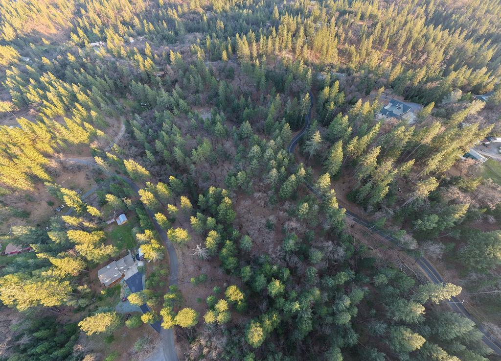 1355 East Weimar Cross Road Colfax, CA 95713 - Photo 34 of 41