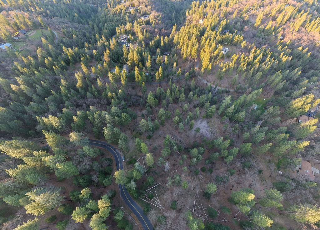 1355 East Weimar Cross Road Colfax, CA 95713 - Photo 35 of 41