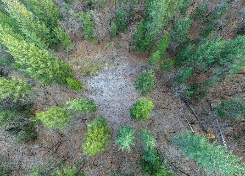 1355 East Weimar Cross Road Colfax, CA 95713 - Photo 36 of 41