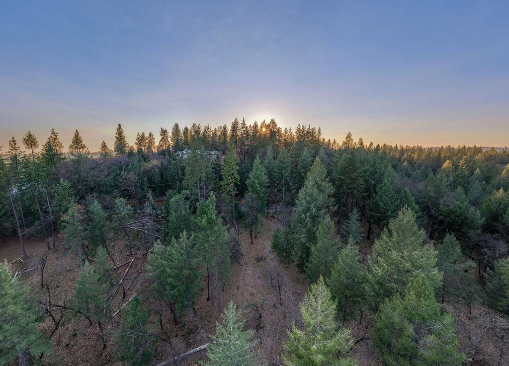 1355 East Weimar Cross Road Colfax, CA 95713 - Photo 37 of 41