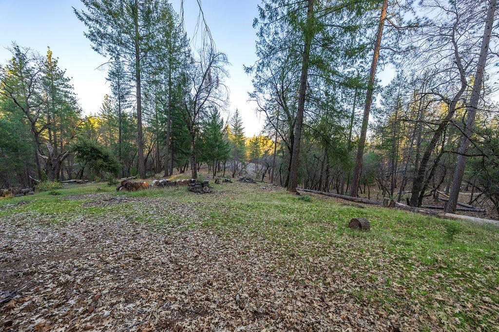 1355 East Weimar Cross Road Colfax, CA 95713 - Photo 4 of 41