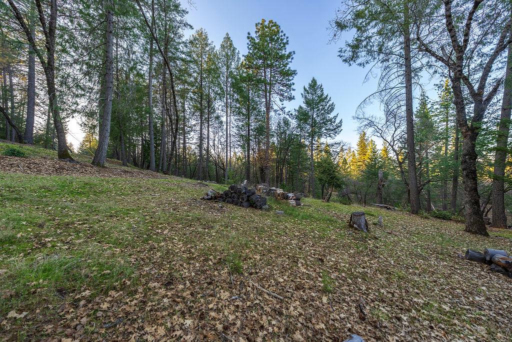 1355 East Weimar Cross Road Colfax, CA 95713 - Photo 5 of 41