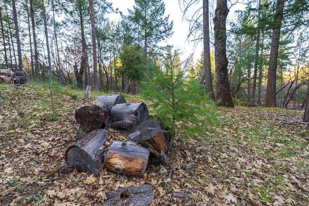 1355 East Weimar Cross Road Colfax, CA 95713 - Photo 6 of 41