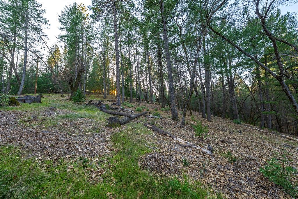 1355 East Weimar Cross Road Colfax, CA 95713 - Photo 9 of 41