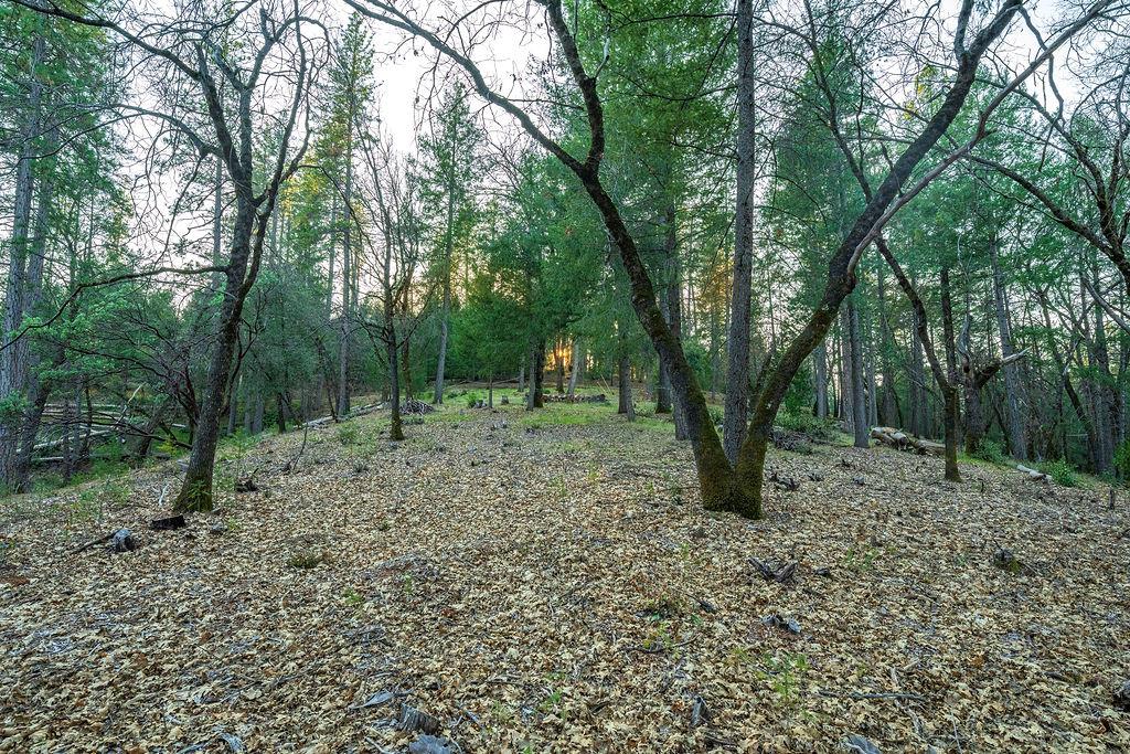 1355 East Weimar Cross Road Colfax, CA 95713 - Photo 10 of 41