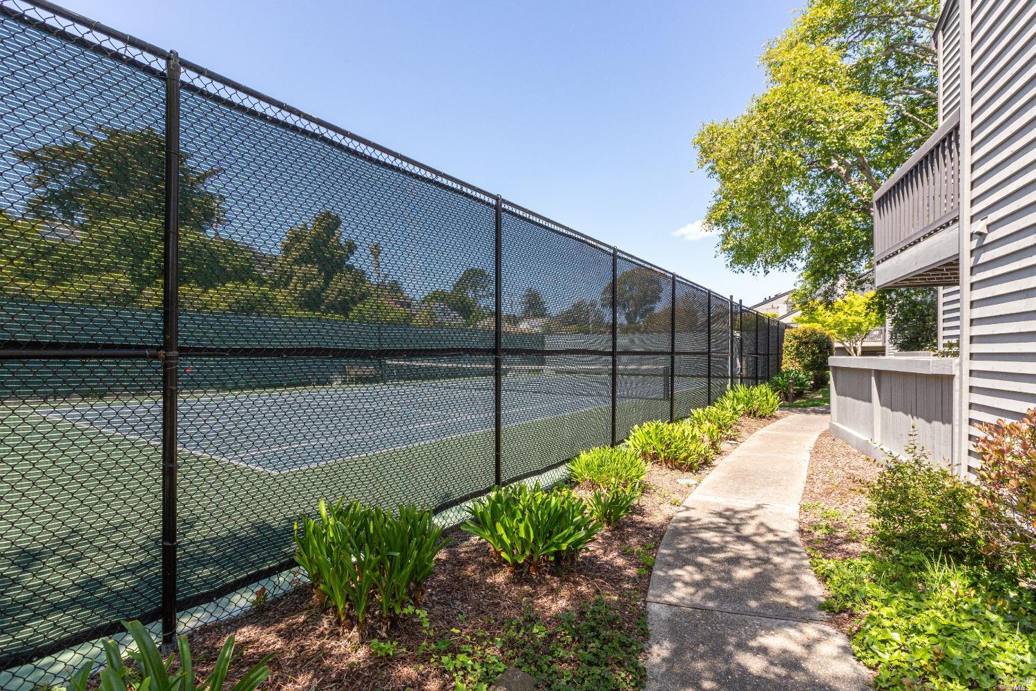 199 Cypress Place Sausalito, CA 94965 - Photo 12 of 12 a view of a backyard with a garden