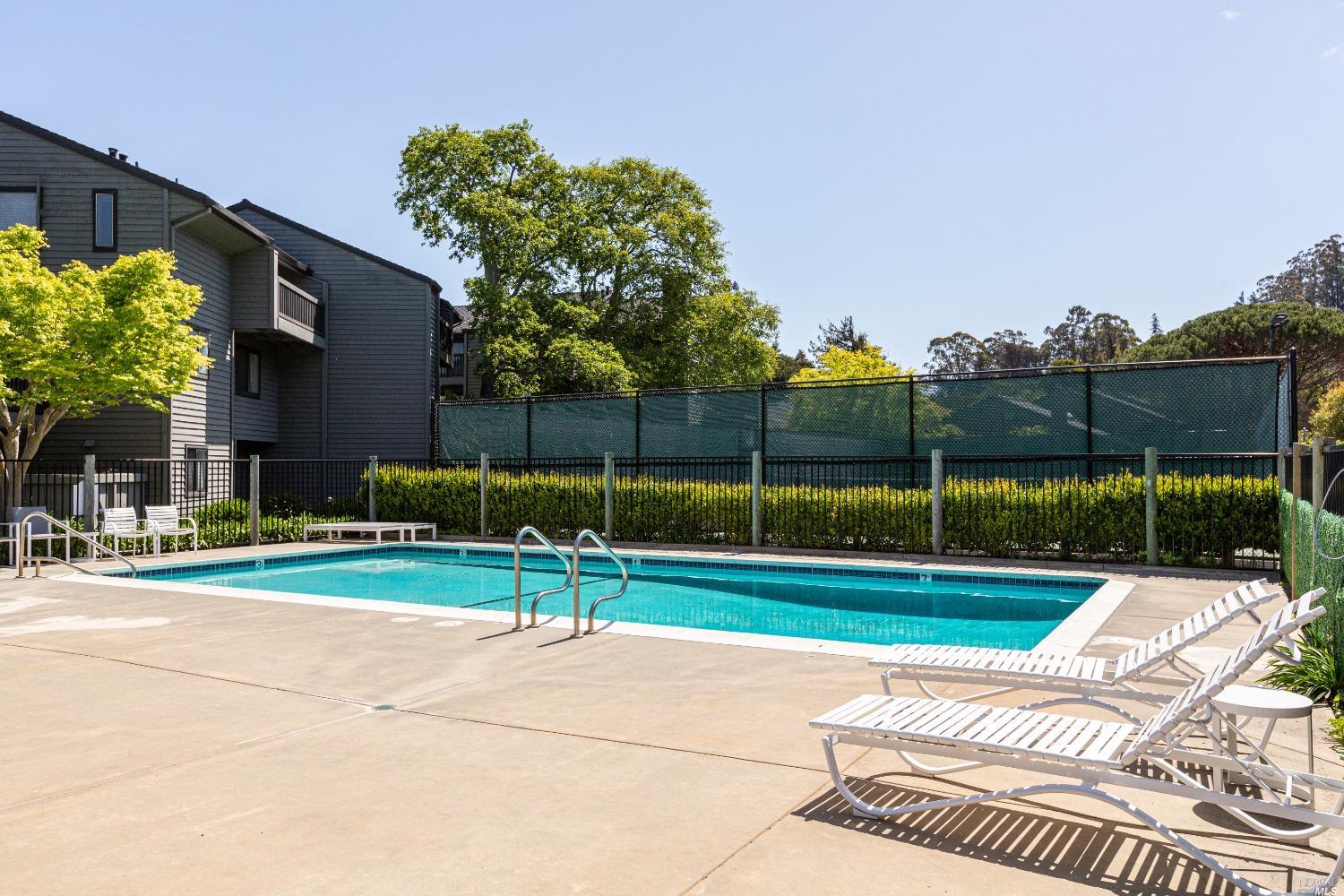 199 Cypress Place Sausalito, CA 94965 - Photo 9 of 12 a view of backyard with trampoline
