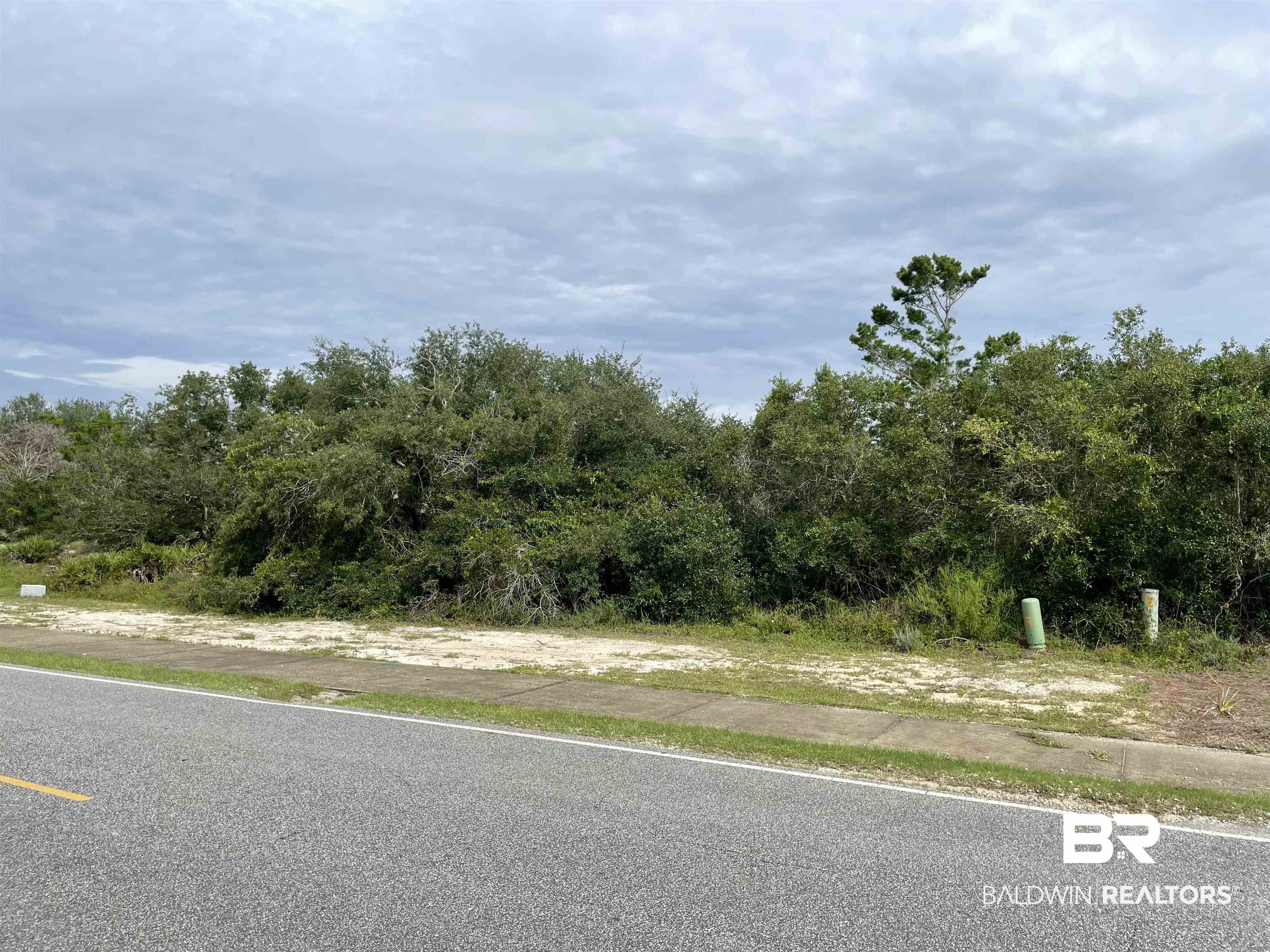 Lot 140-0 River Road Orange Beach, AL 36561 - Photo 1 of 4