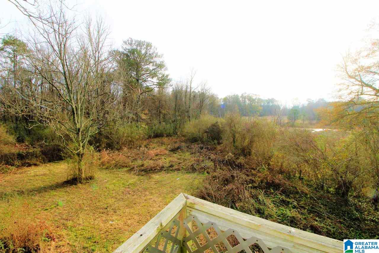 3391 Mudd Street Lincoln, AL 35096 - Photo 23 of 31