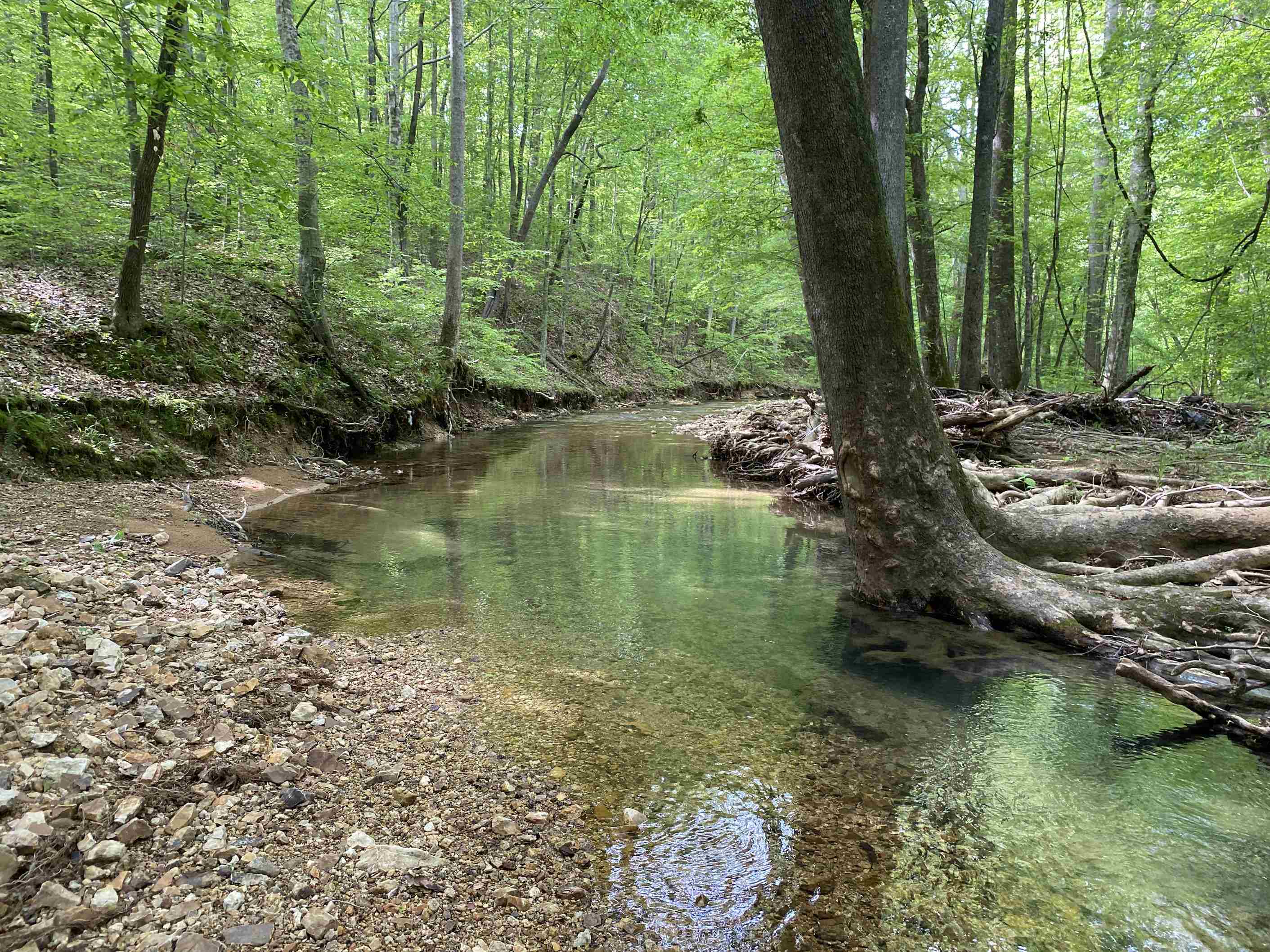 1 Lick Creek Road Linden, TN 37096 - Photo 12 of 39