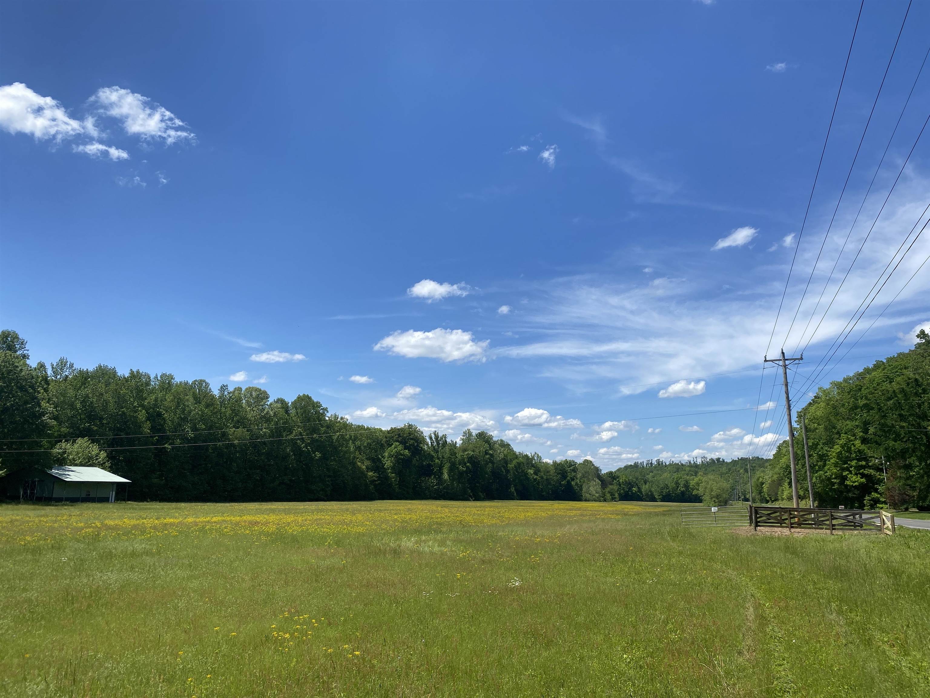 1 Lick Creek Road Linden, TN 37096 - Photo 13 of 39