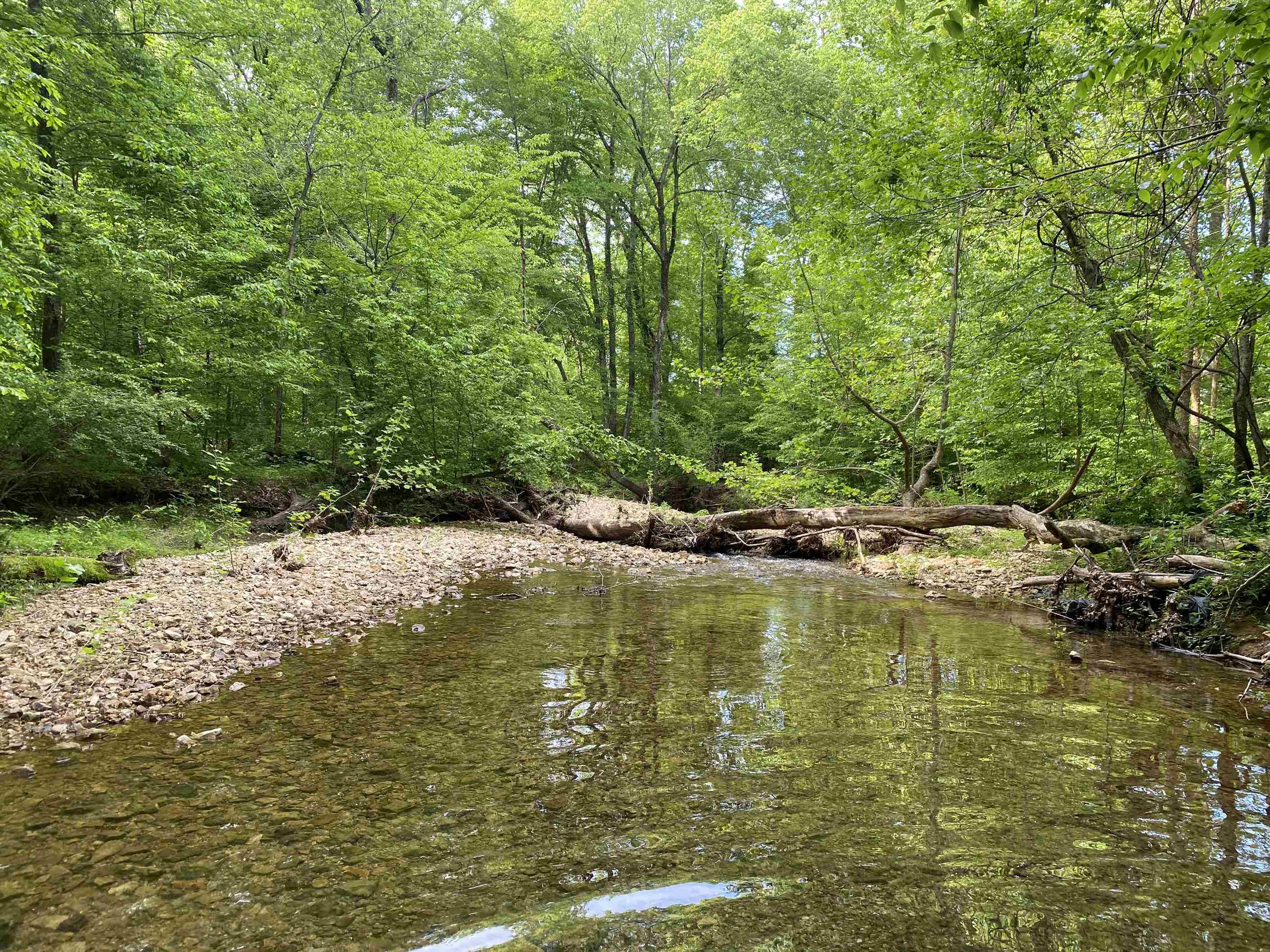 1 Lick Creek Road Linden, TN 37096 - Photo 18 of 39
