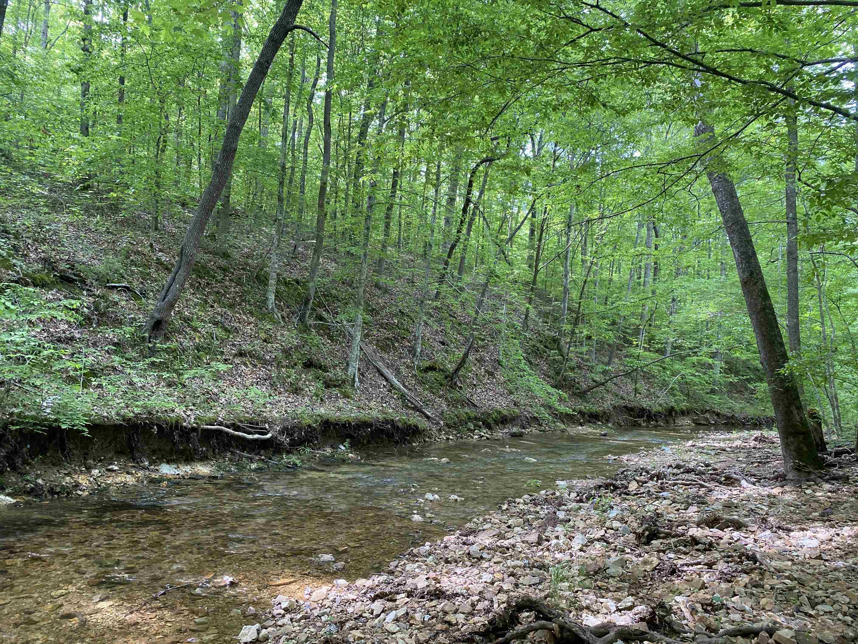 1 Lick Creek Road Linden, TN 37096 - Photo 20 of 39