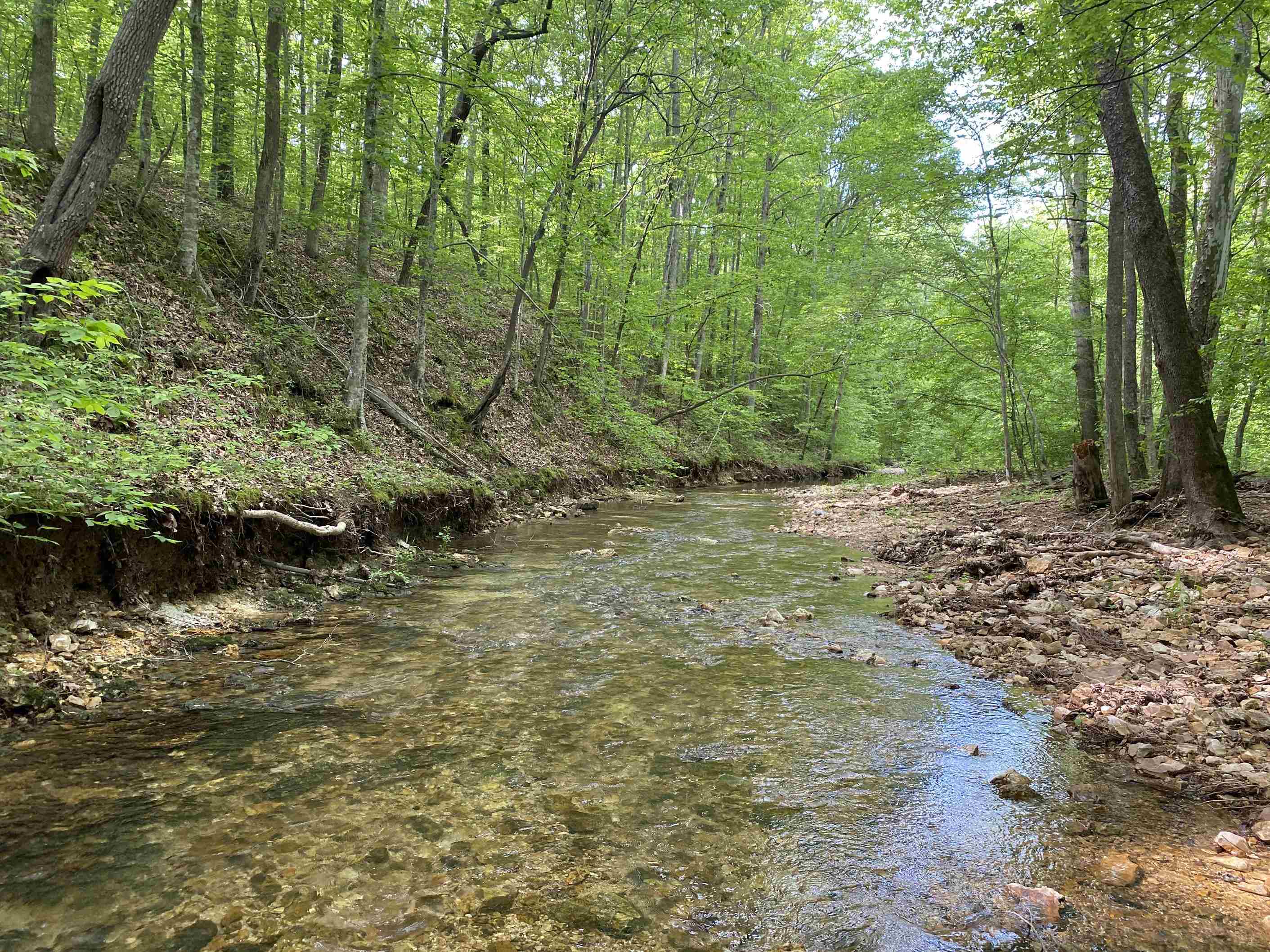 1 Lick Creek Road Linden, TN 37096 - Photo 2 of 39