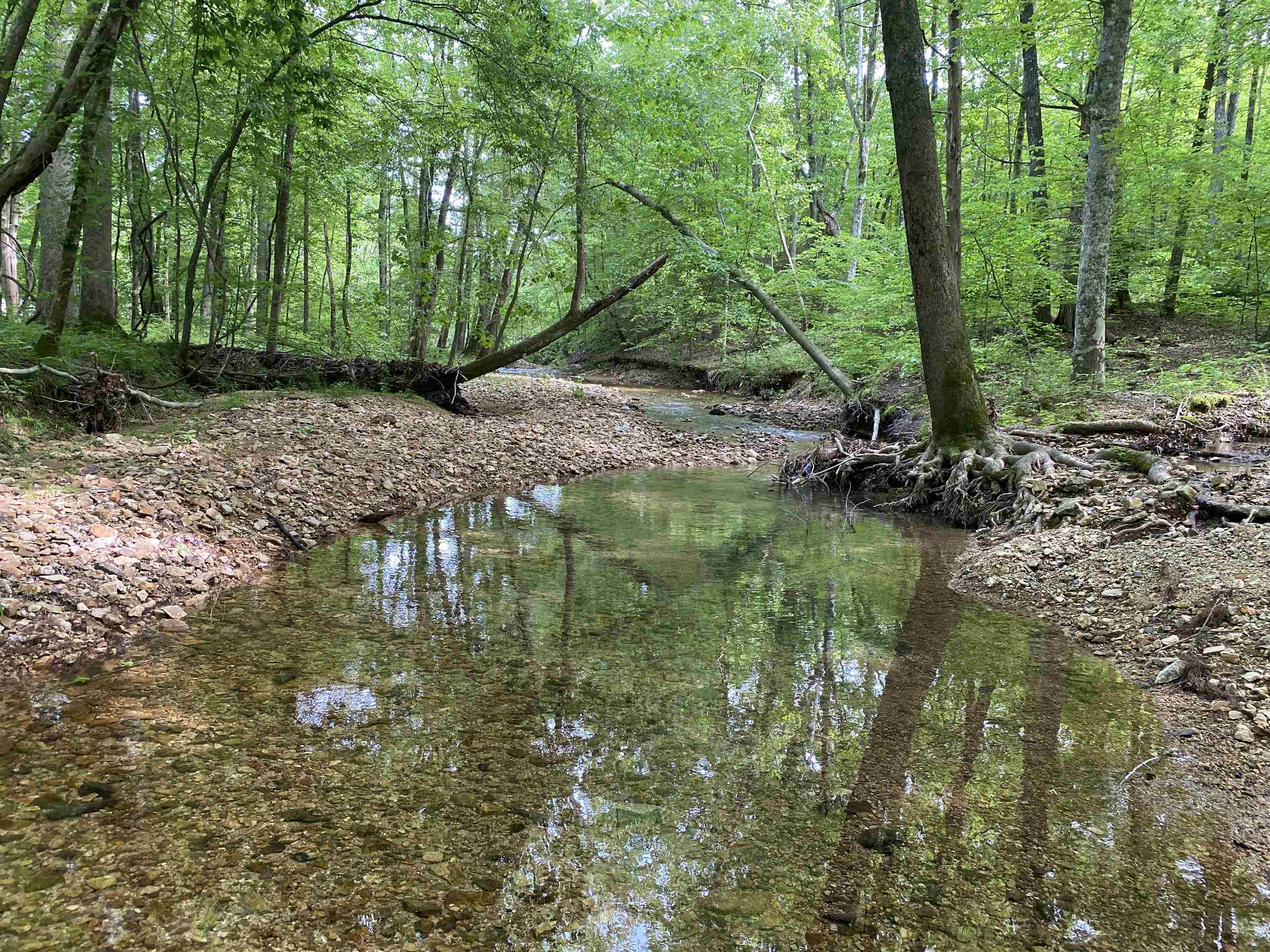 1 Lick Creek Road Linden, TN 37096 - Photo 22 of 39