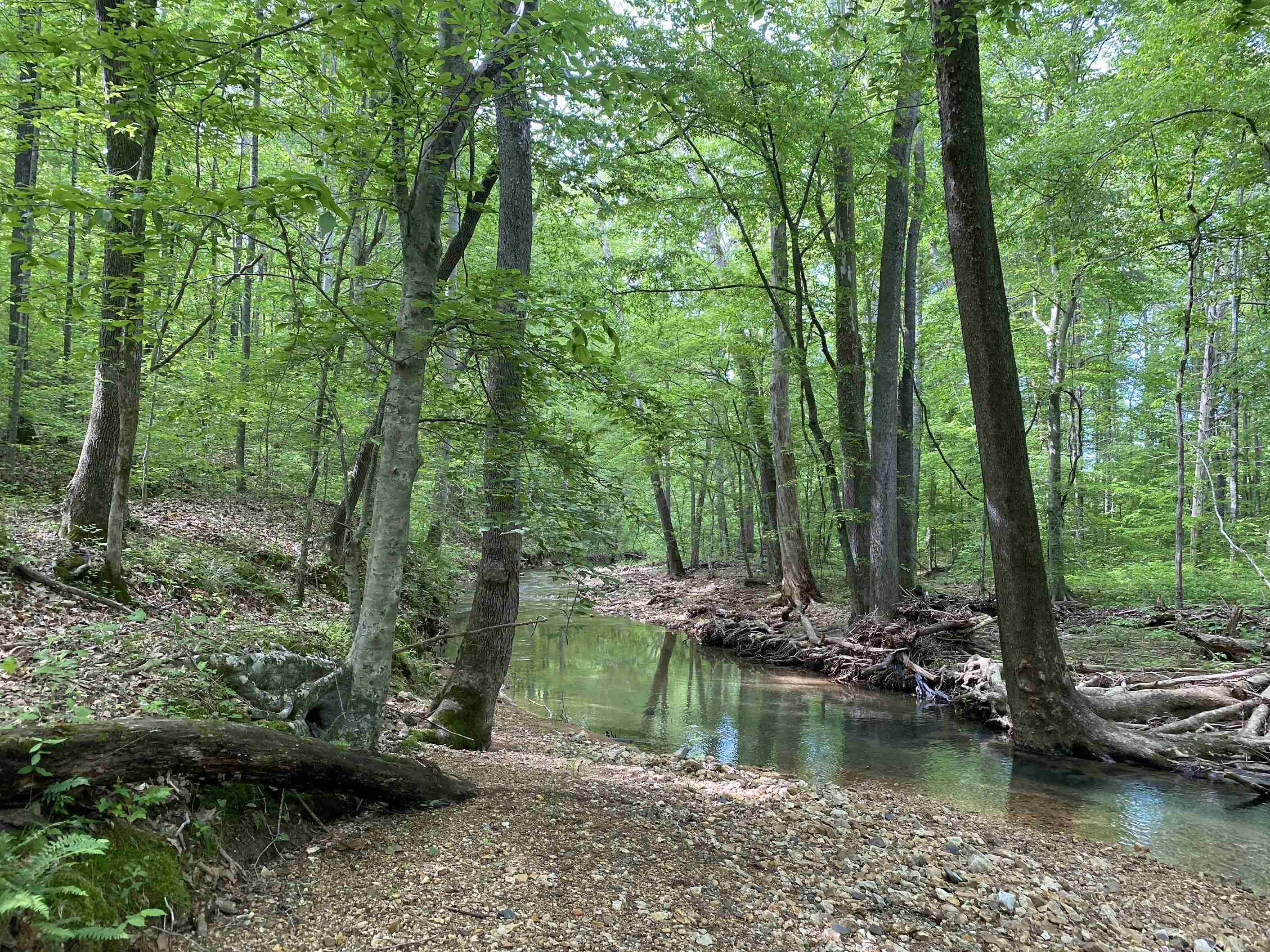1 Lick Creek Road Linden, TN 37096 - Photo 23 of 39