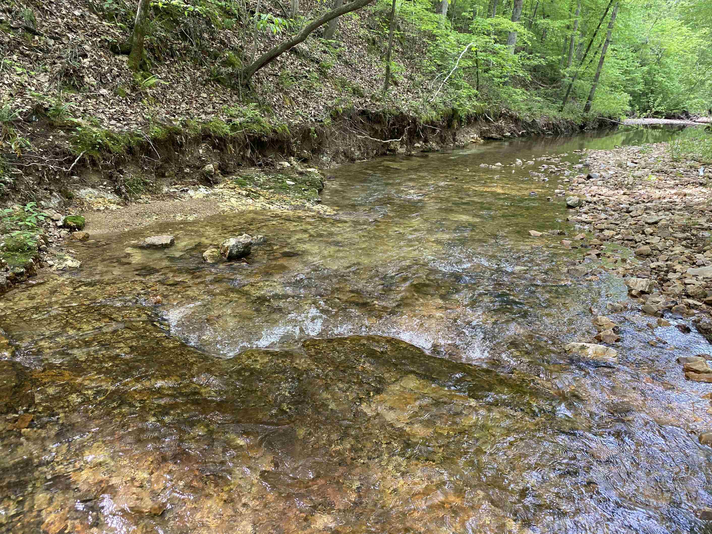 1 Lick Creek Road Linden, TN 37096 - Photo 26 of 39
