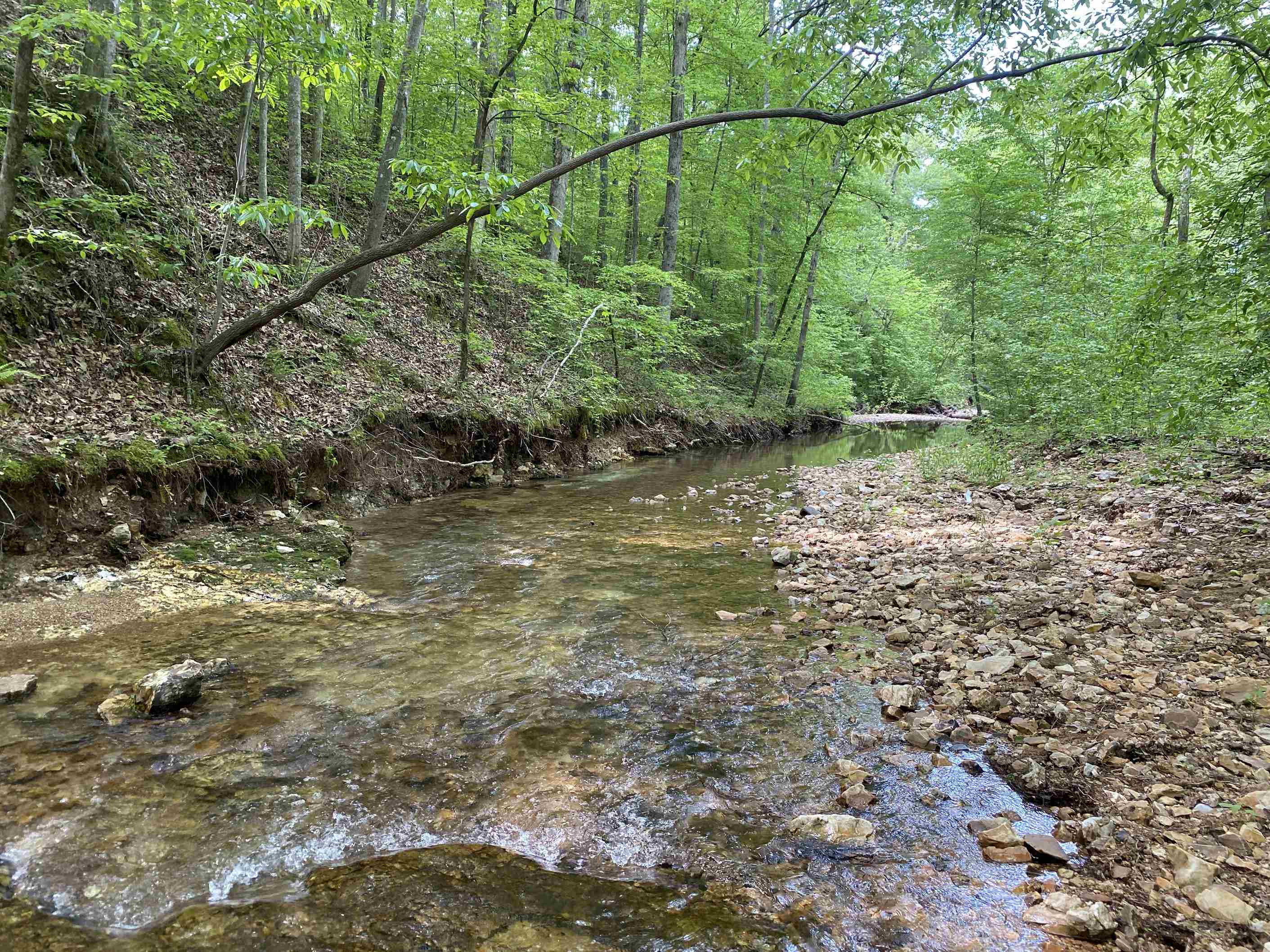 1 Lick Creek Road Linden, TN 37096 - Photo 27 of 39