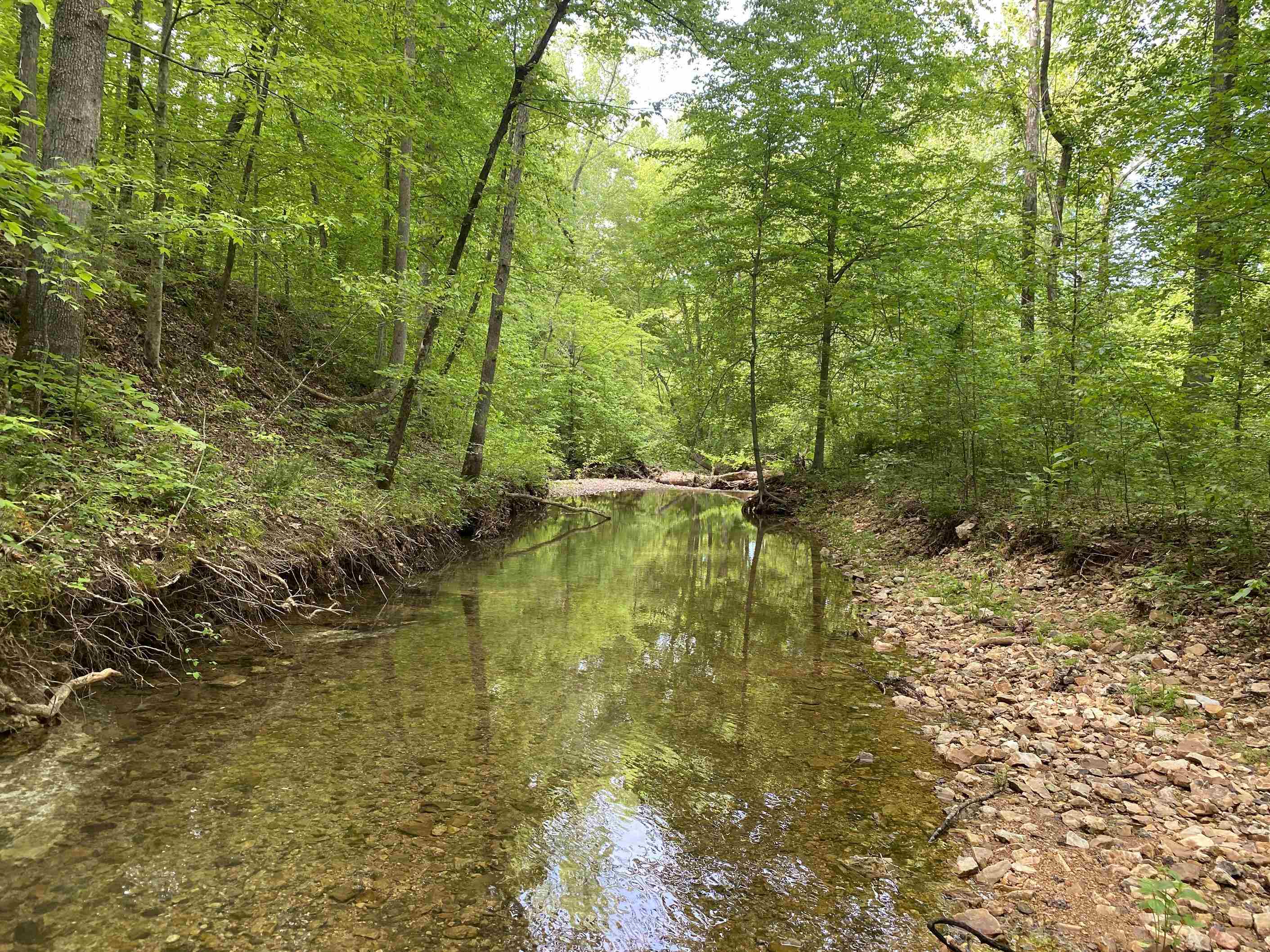 1 Lick Creek Road Linden, TN 37096 - Photo 28 of 39