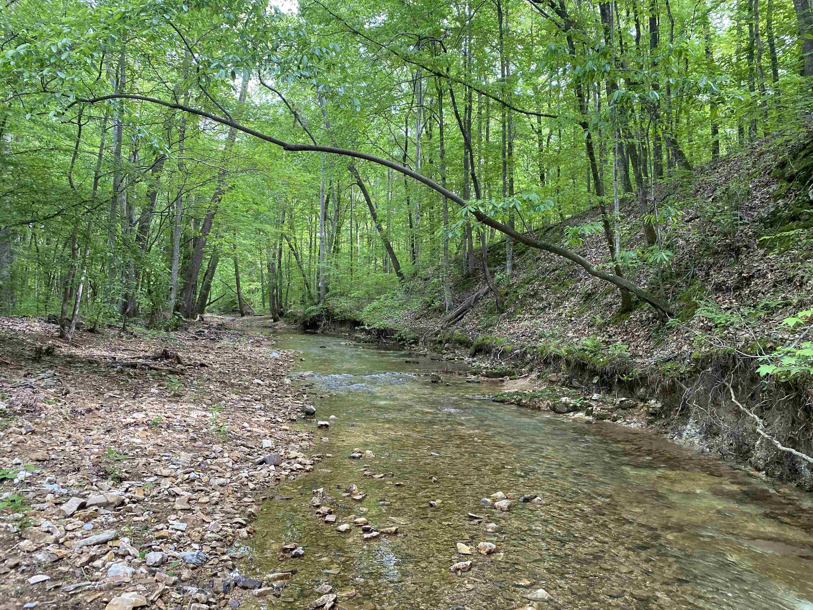 1 Lick Creek Road Linden, TN 37096 - Photo 29 of 39