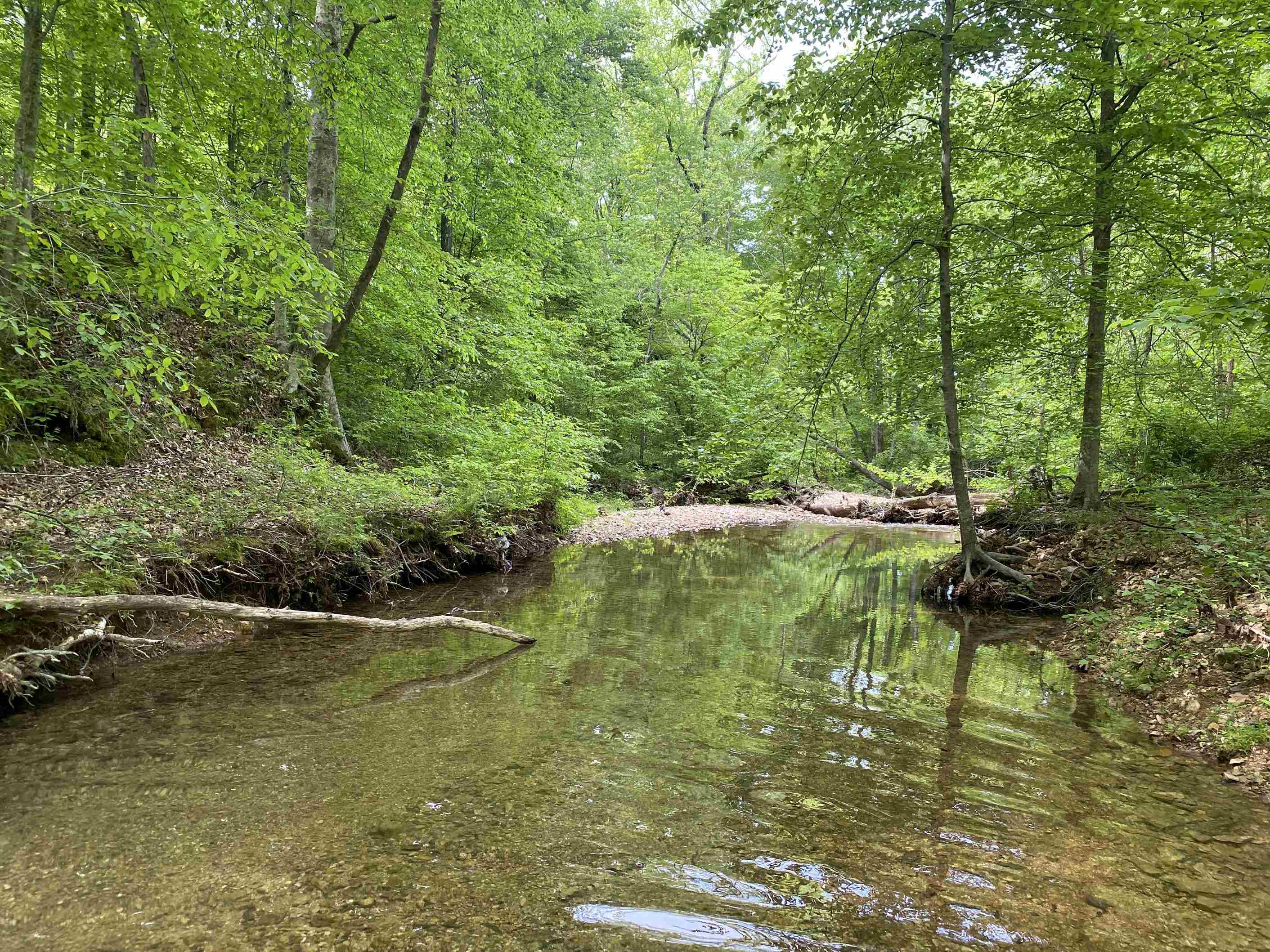 1 Lick Creek Road Linden, TN 37096 - Photo 30 of 39