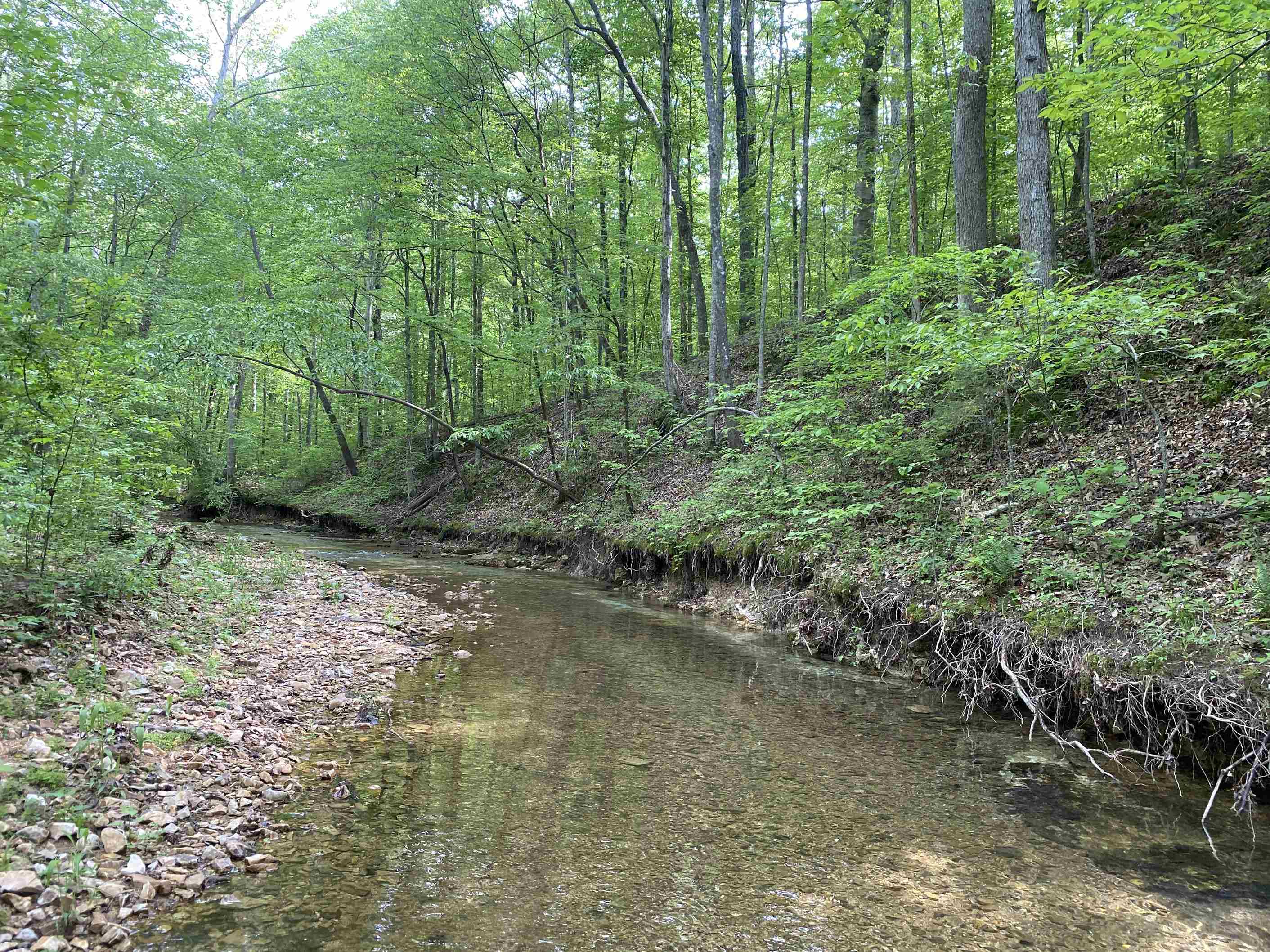 1 Lick Creek Road Linden, TN 37096 - Photo 31 of 39