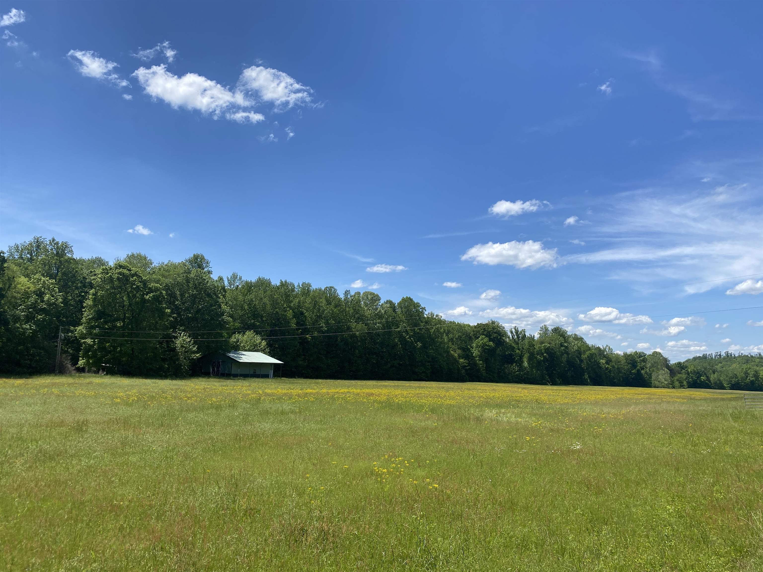 1 Lick Creek Road Linden, TN 37096 - Photo 32 of 39