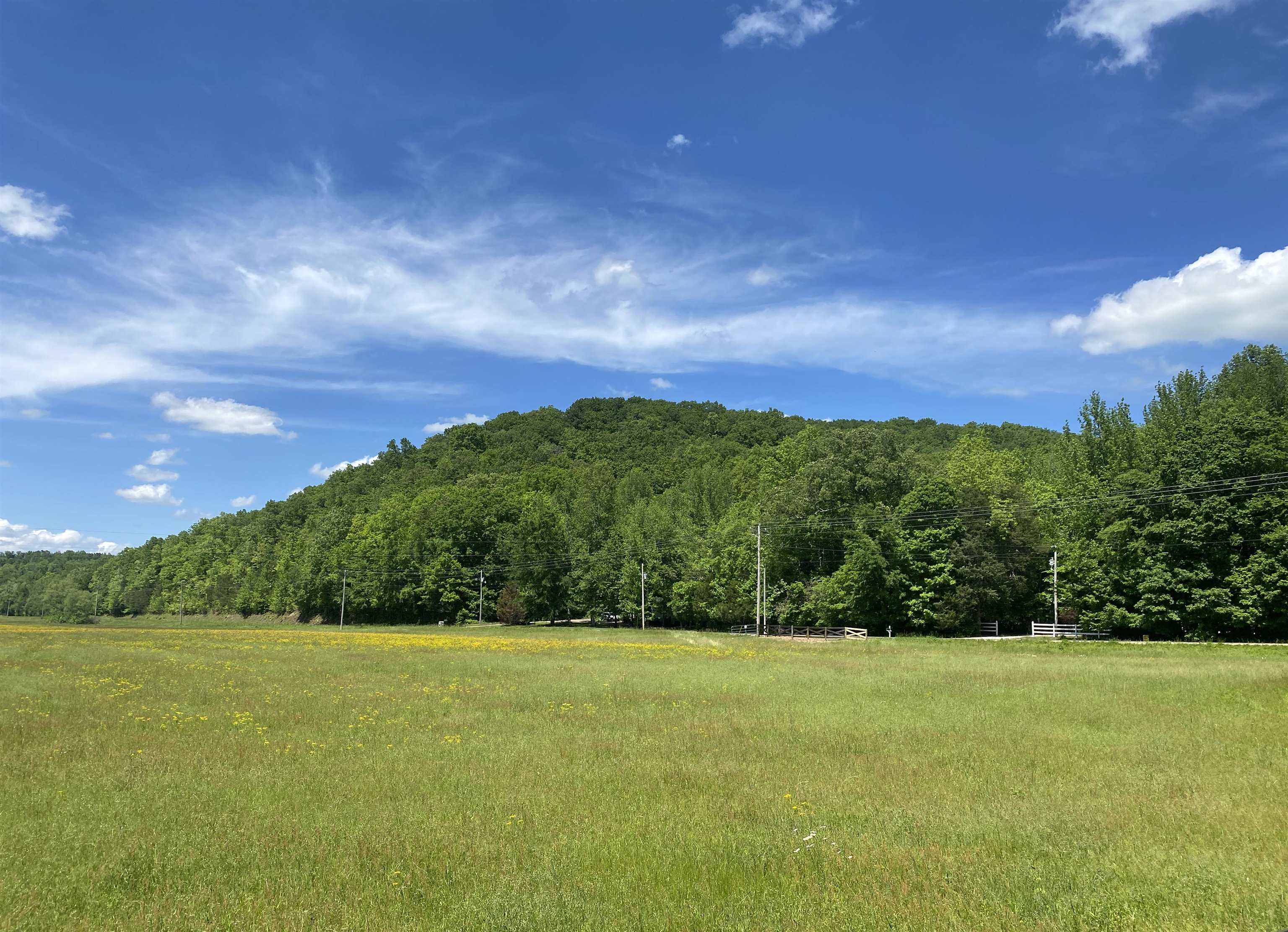 1 Lick Creek Road Linden, TN 37096 - Photo 33 of 39