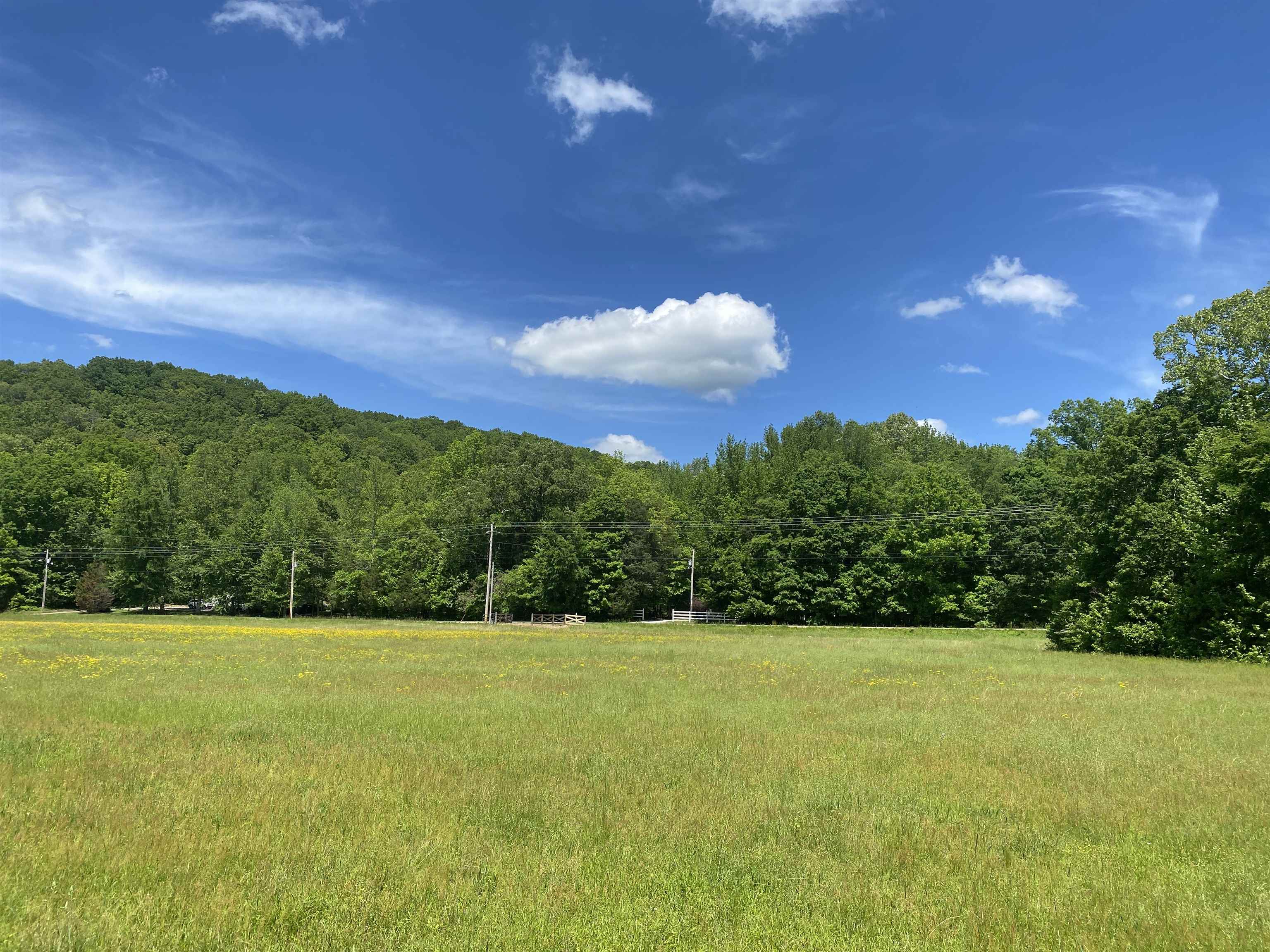 1 Lick Creek Road Linden, TN 37096 - Photo 34 of 39