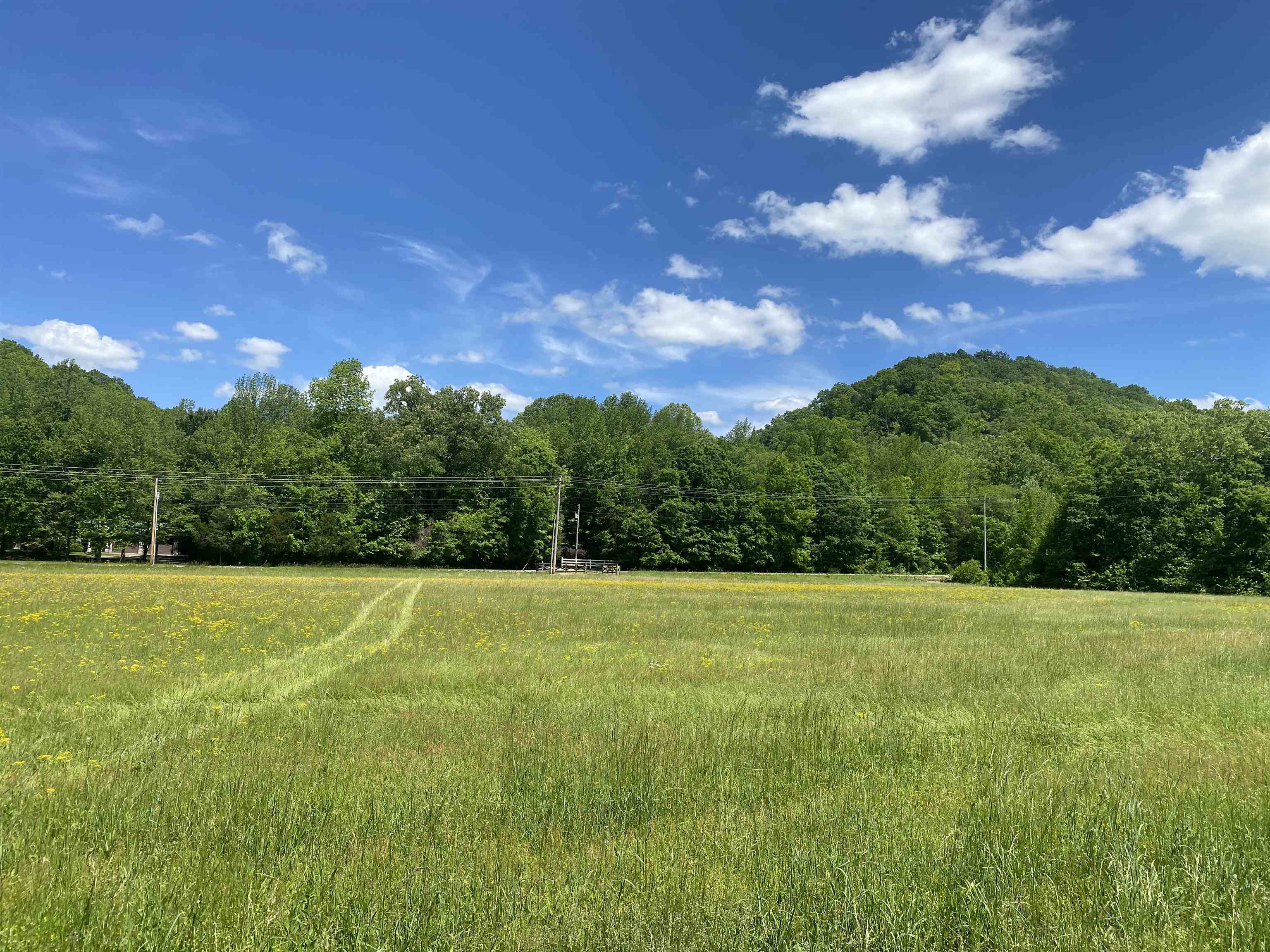 1 Lick Creek Road Linden, TN 37096 - Photo 35 of 39