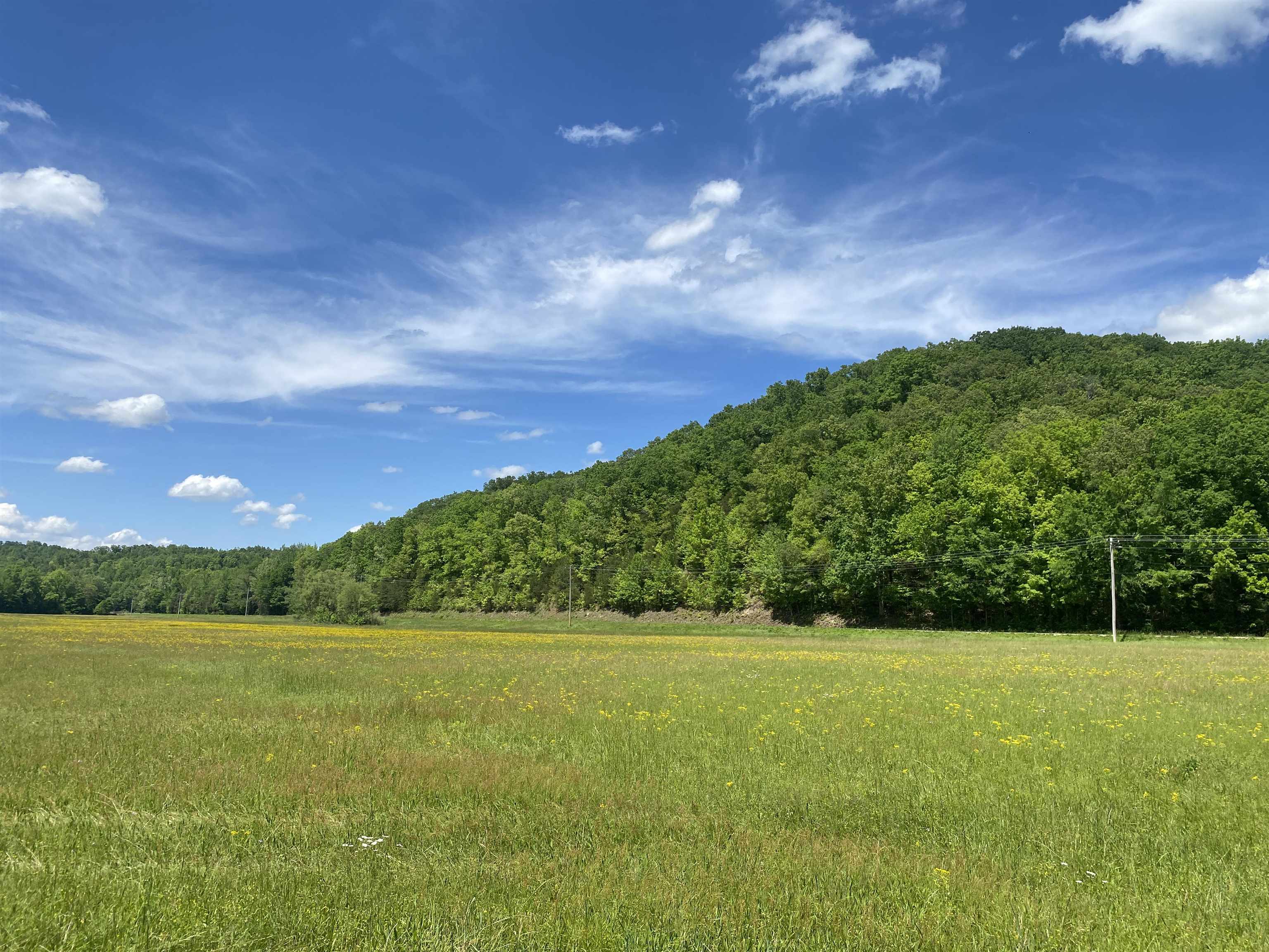 1 Lick Creek Road Linden, TN 37096 - Photo 36 of 39