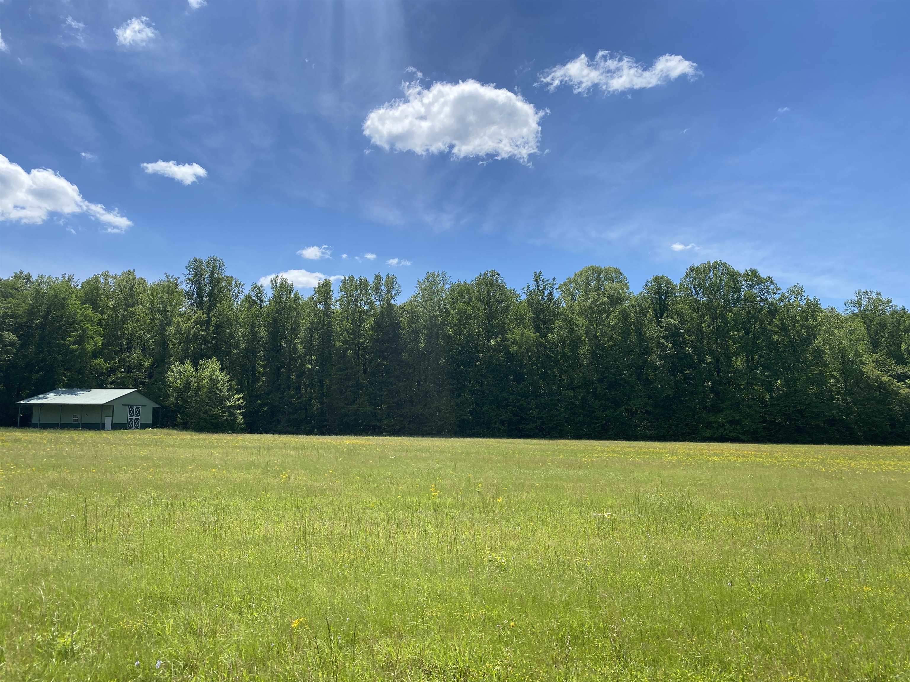 1 Lick Creek Road Linden, TN 37096 - Photo 37 of 39