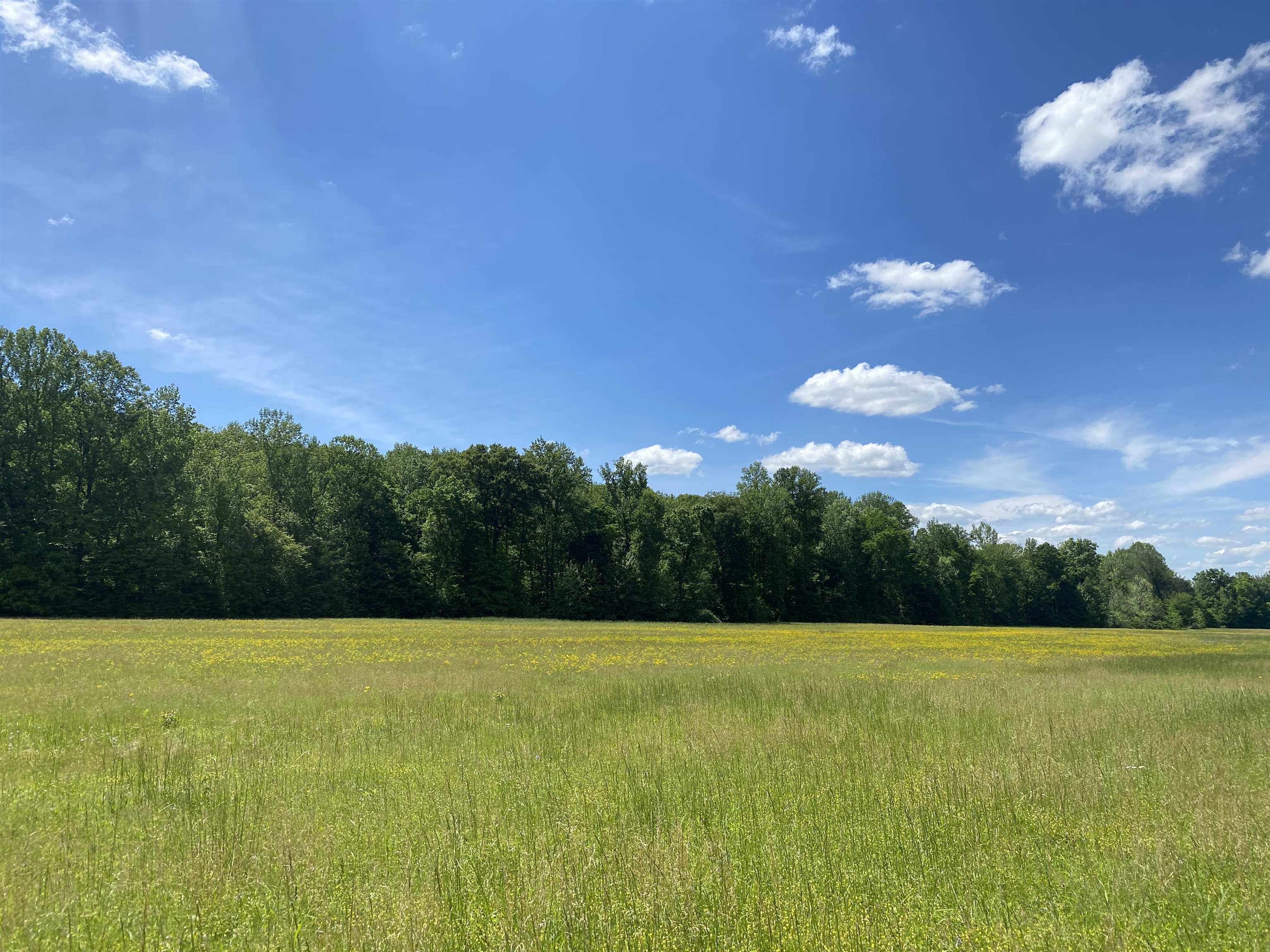 1 Lick Creek Road Linden, TN 37096 - Photo 38 of 39