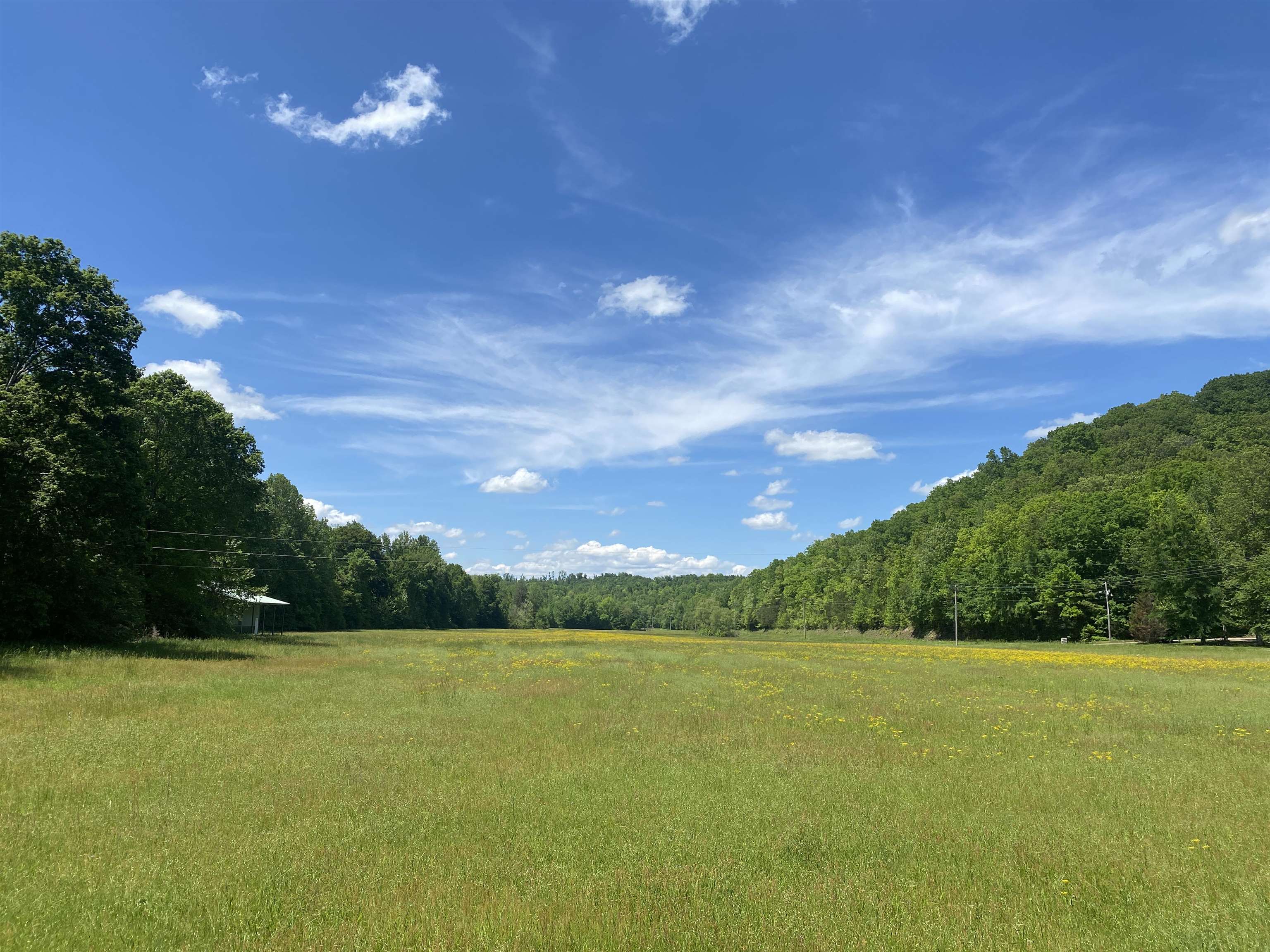 1 Lick Creek Road Linden, TN 37096 - Photo 4 of 39