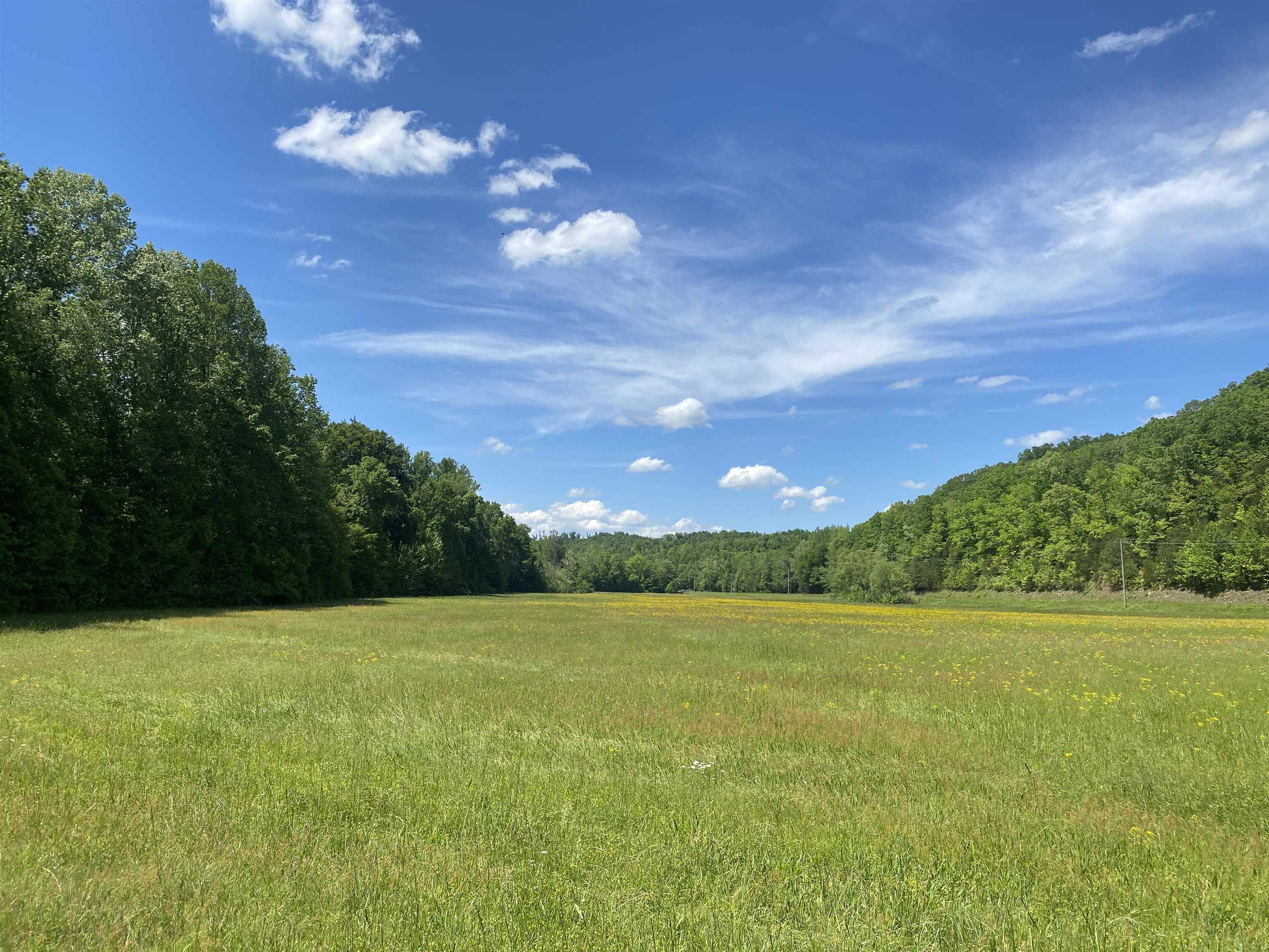 1 Lick Creek Road Linden, TN 37096 - Photo 5 of 39