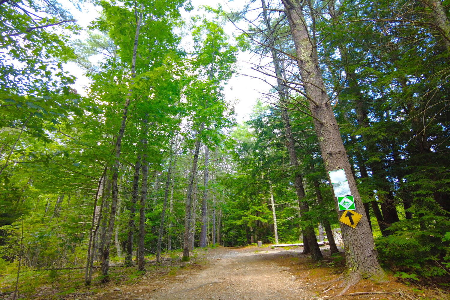 Tbd Roberts Pond Road Lyman, ME 04002 - Photo 14 of 37 ATV Trail