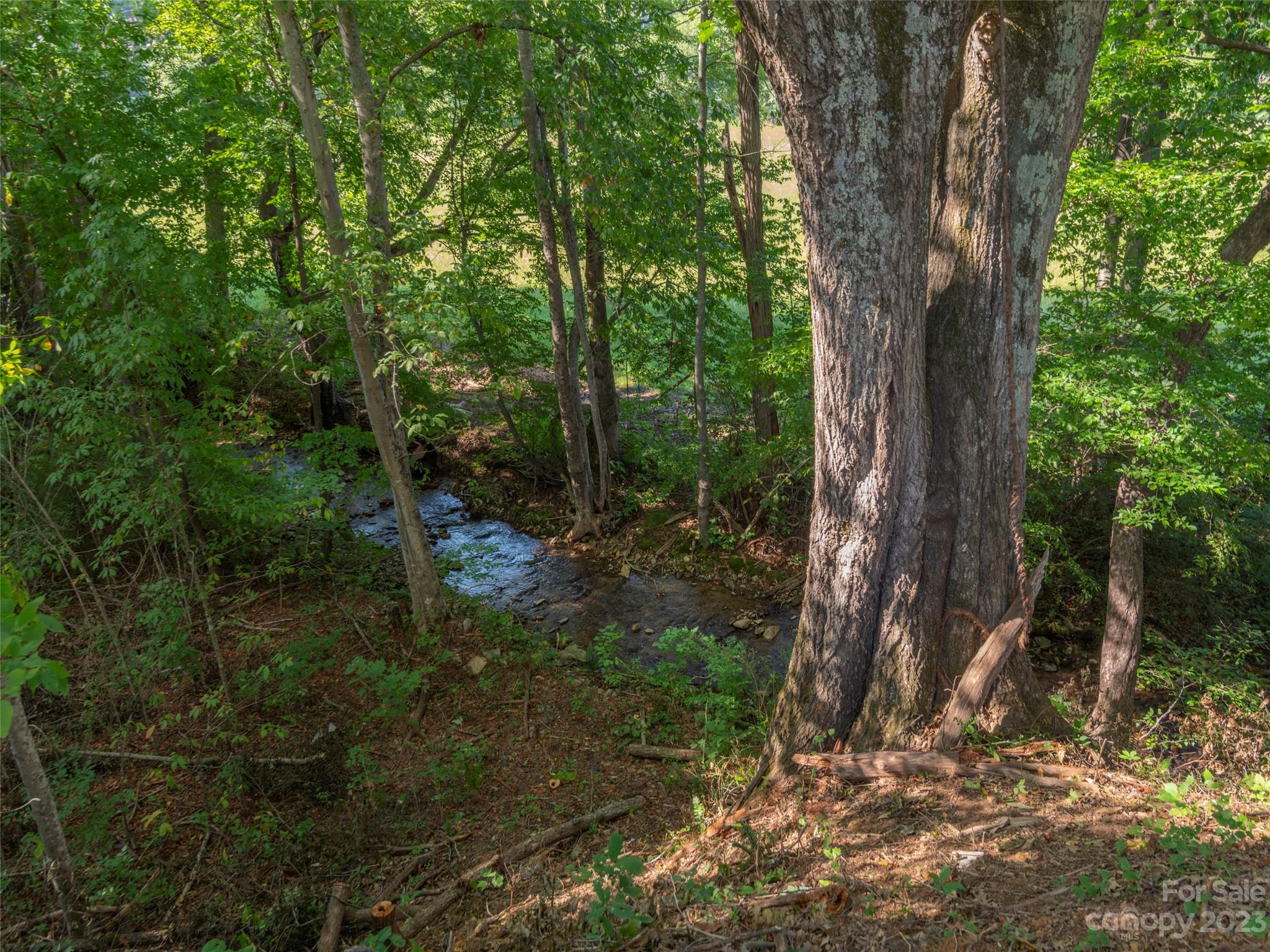 204 Green Valley Road Waynesville, NC 28786 - Photo 4 of 23 Gallery Image 4
