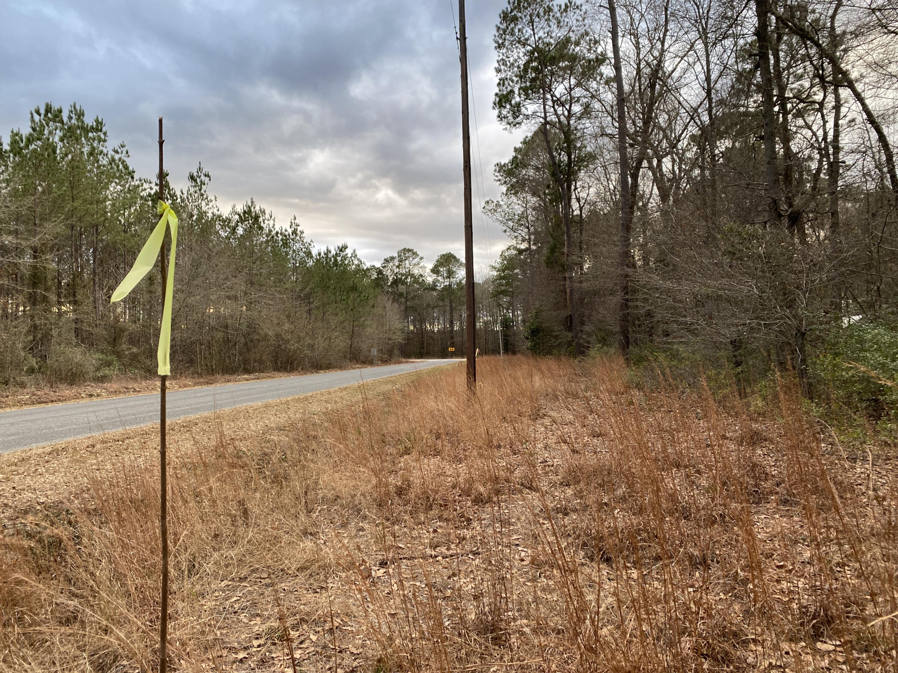 0 Muckenfus Road Cottageville, SC 29435 - Photo 4 of 14 1b