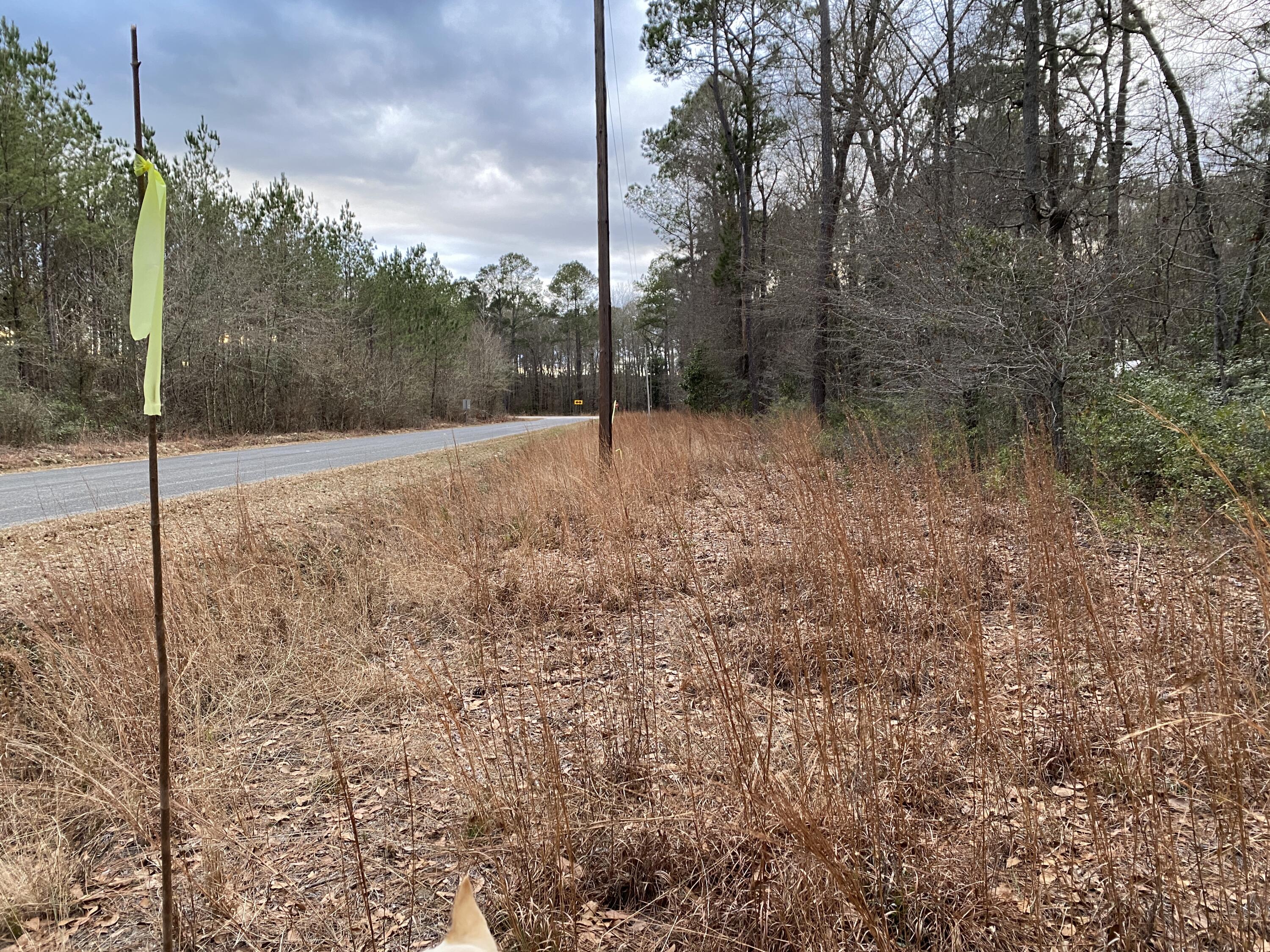 0 Muckenfus Road Cottageville, SC 29435 - Photo 6 of 14 1a