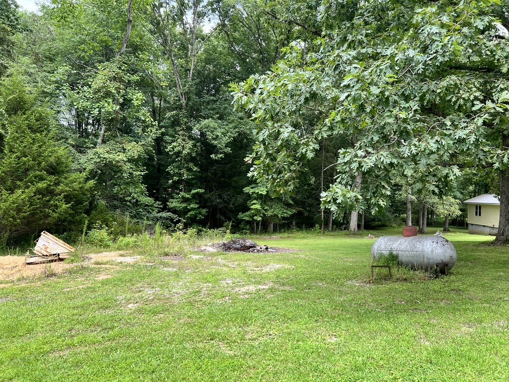 0 Caldwell Road Sewanee, TN 37375 - Photo 7 of 11 Gallery Image 7