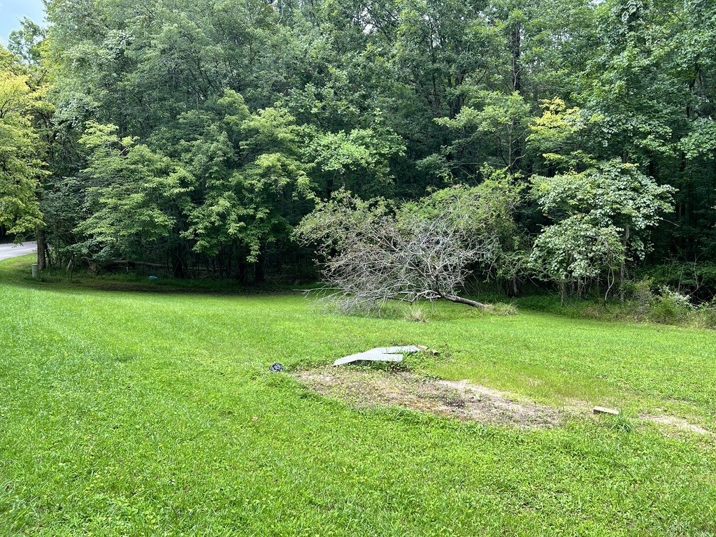 0 Caldwell Road Sewanee, TN 37375 - Photo 9 of 11 Gallery Image 9