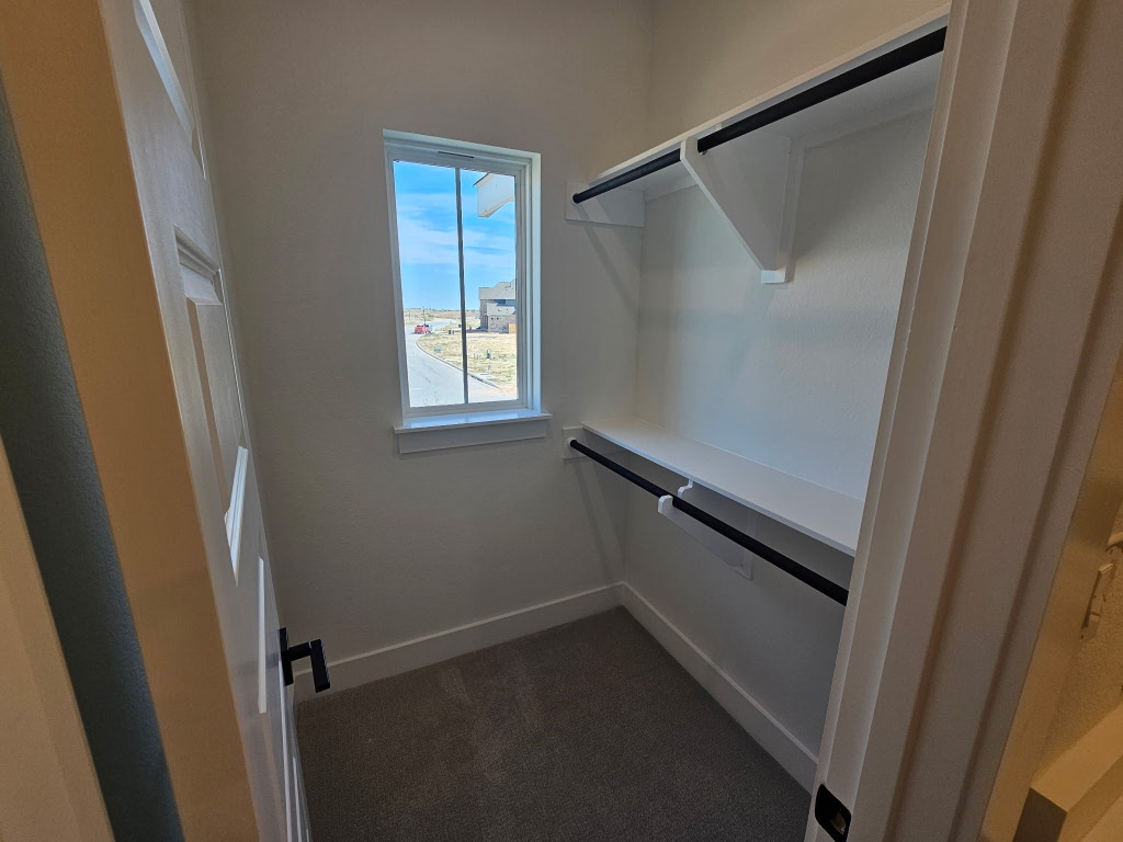 17341 Graces Path Pflugerville, TX 78660 - Photo 29 of 36