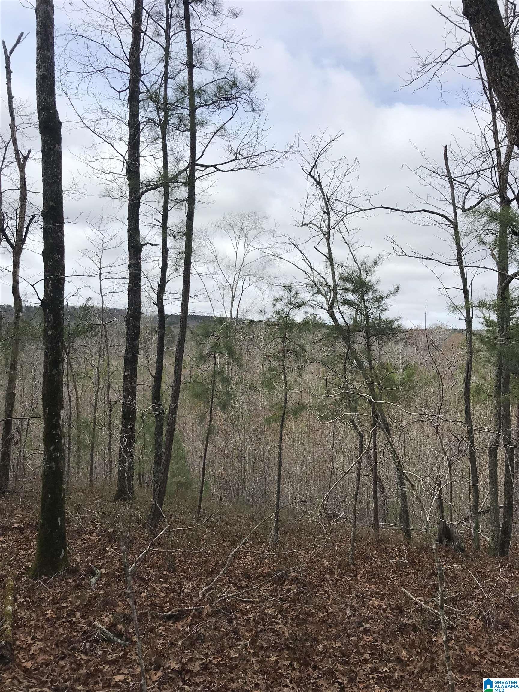 0 Indian Creek Road, Unit 1 Lineville, AL 36266 - Photo 2 of 10