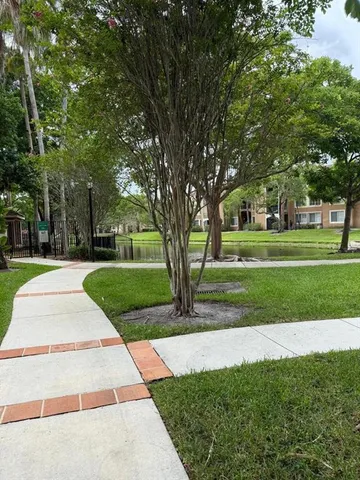 a view of a park with large trees
