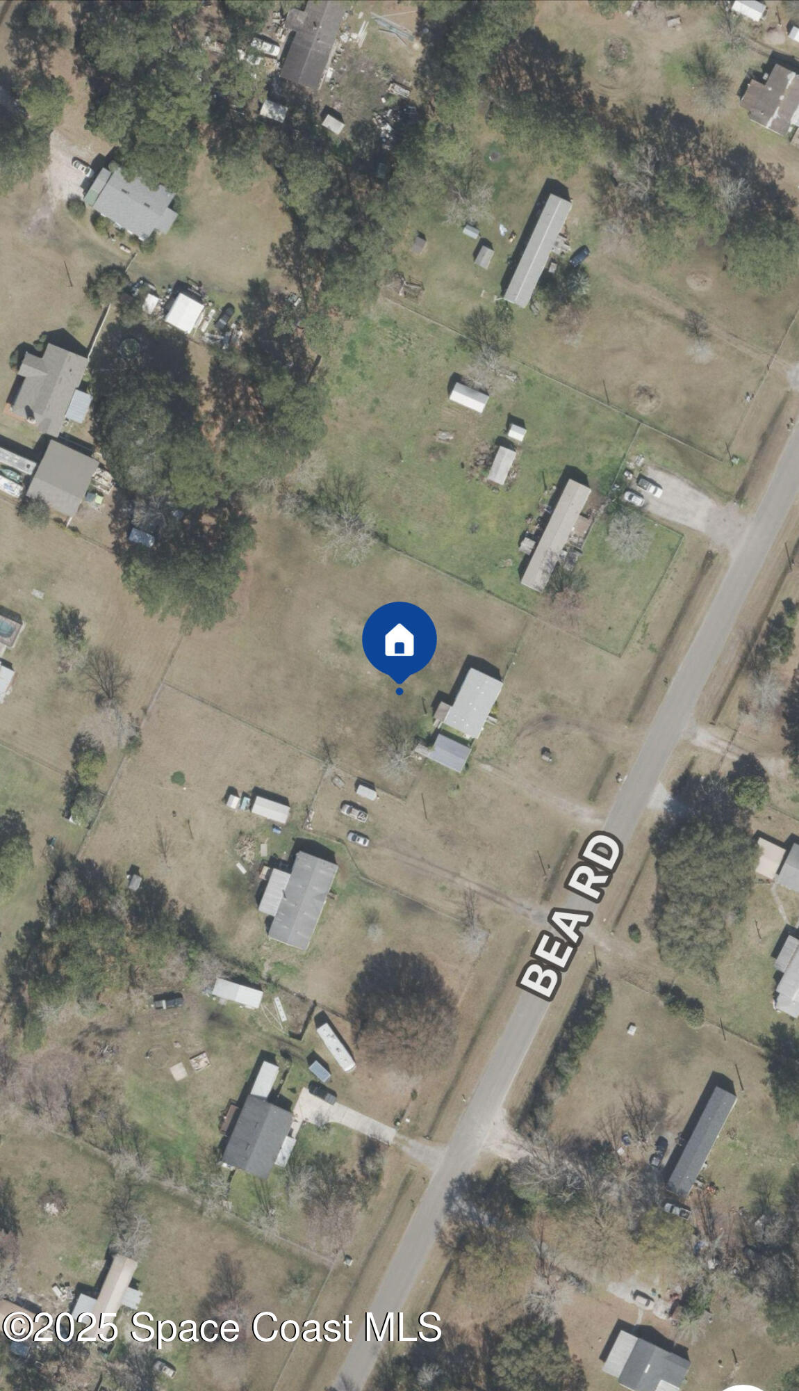 54275 Bea Road Callahan, FL 32011 - Photo 50 of 52 a view of a dry yard
