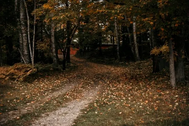 $425,000 | 10980 East Halsey Lake Road, Long Lake, WI 54542