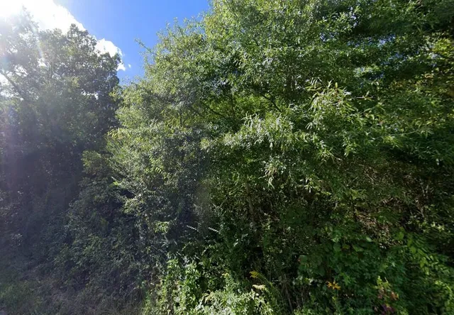 $225,000 | Tbd1 Briar Thicket Road, Bybee, TN 37713