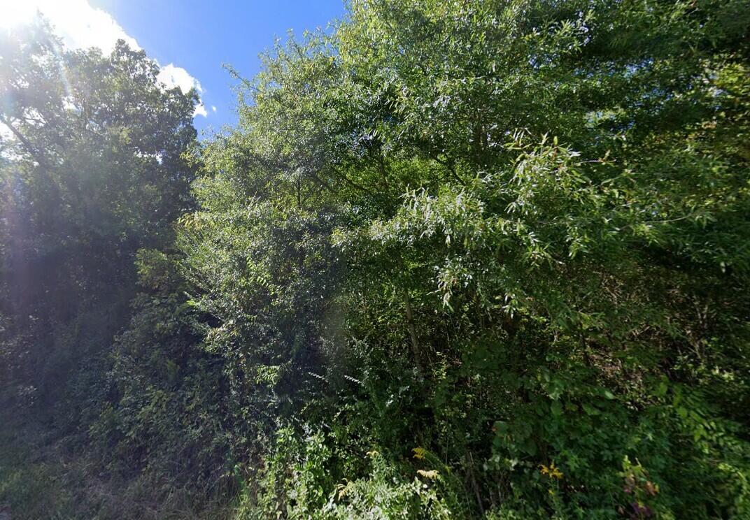 Tbd1 Briar Thicket Road Bybee, TN 37713 - Photo 13 of 16 13