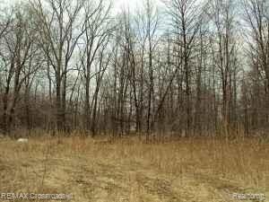 Vacant West Newburg Road Carleton, MI 48117 - Photo 2 of 4 2